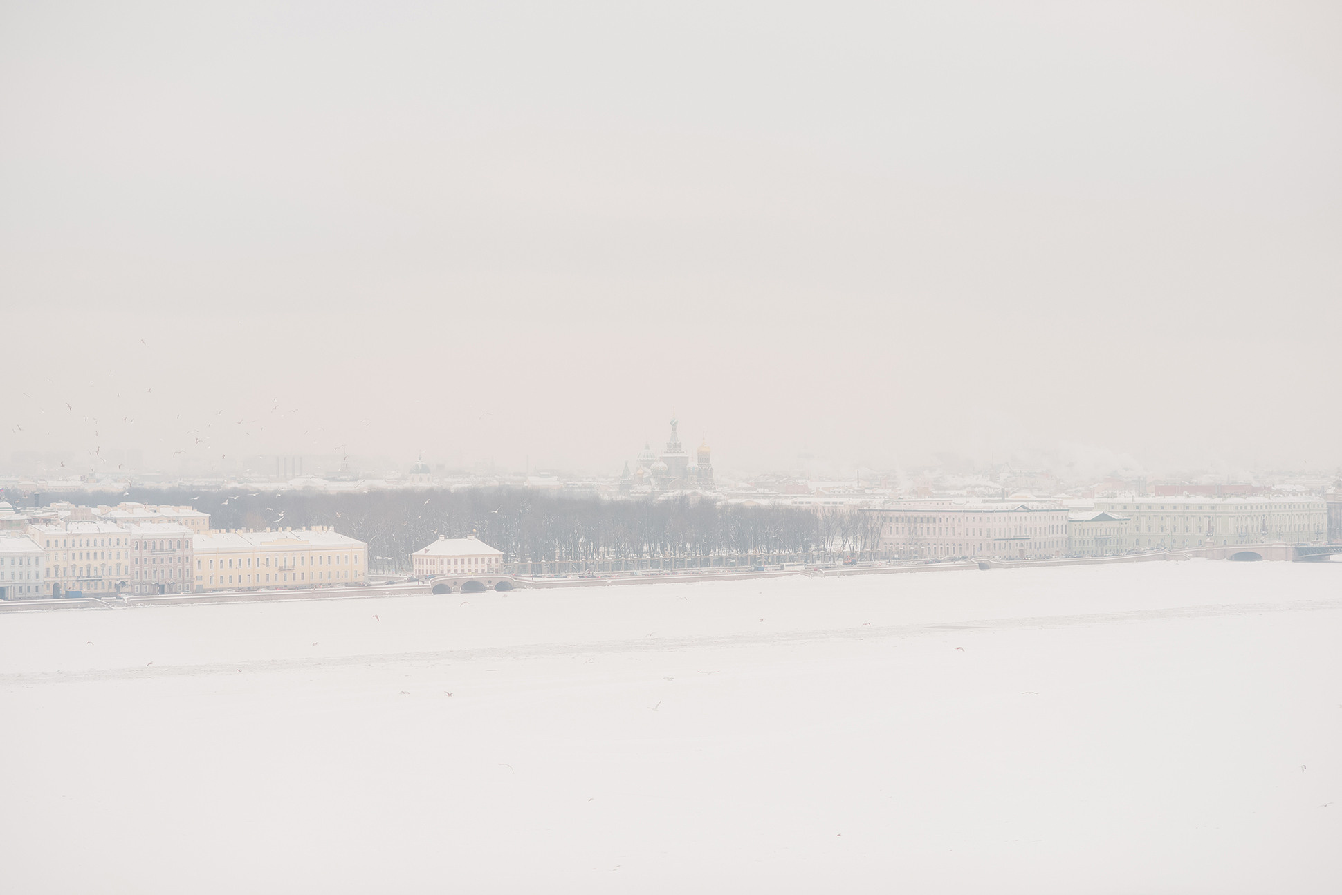 Саша и Леша. Вокзал для двоих. Семейный и Свадебный фотограф. Санкт-Петербург. Пушкин