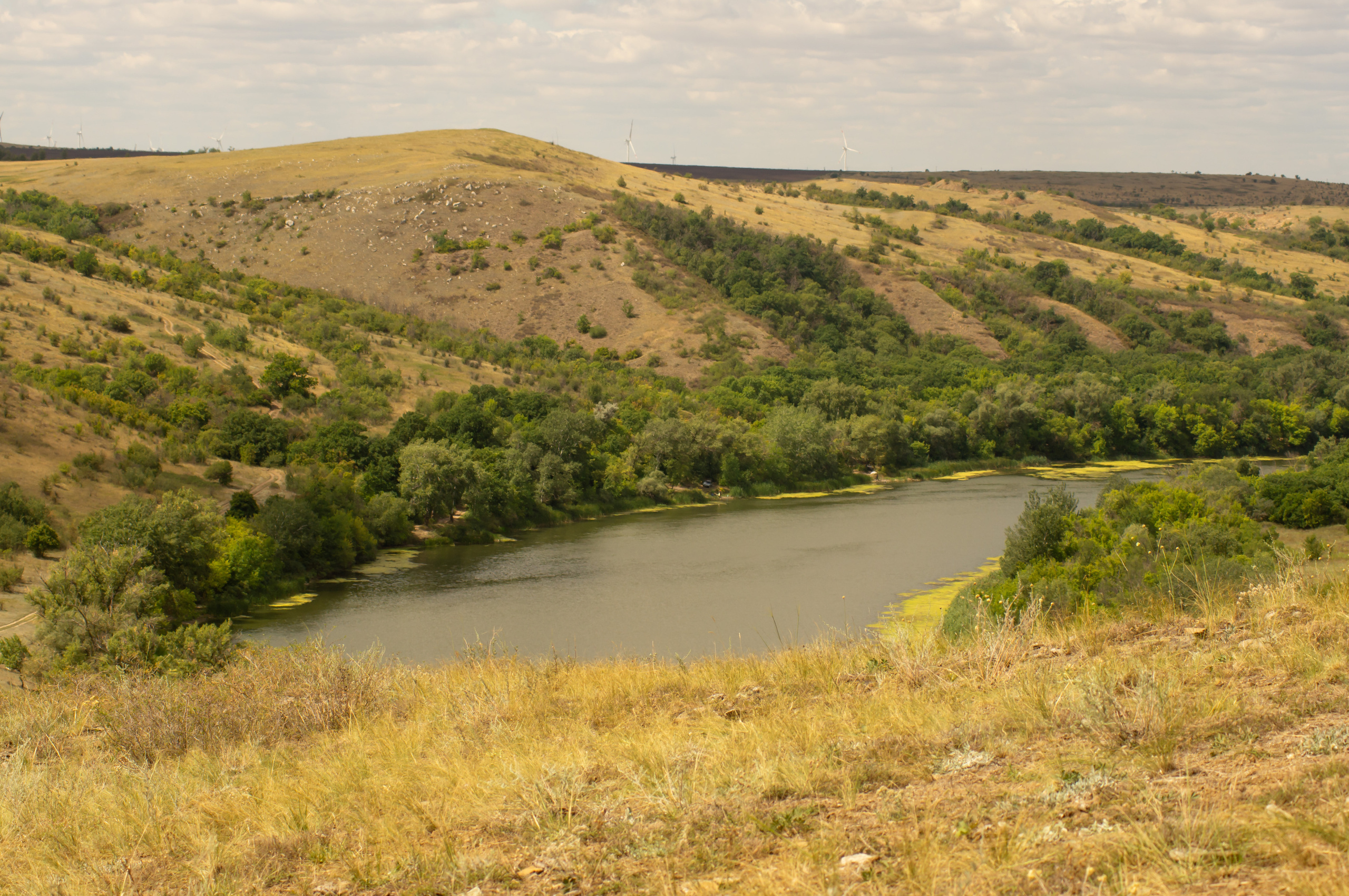 ISAF 2020. Фотограф и ретушер в городе Ростове-на-Дону Слукина Анна