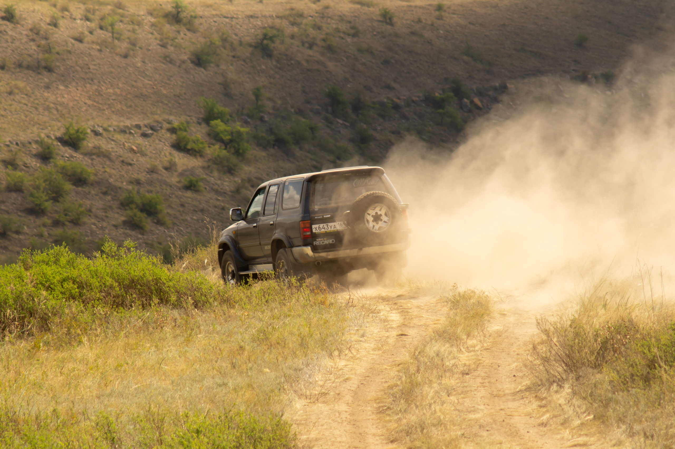 ISAF 2020. Фотограф и ретушер в городе Ростове-на-Дону Слукина Анна