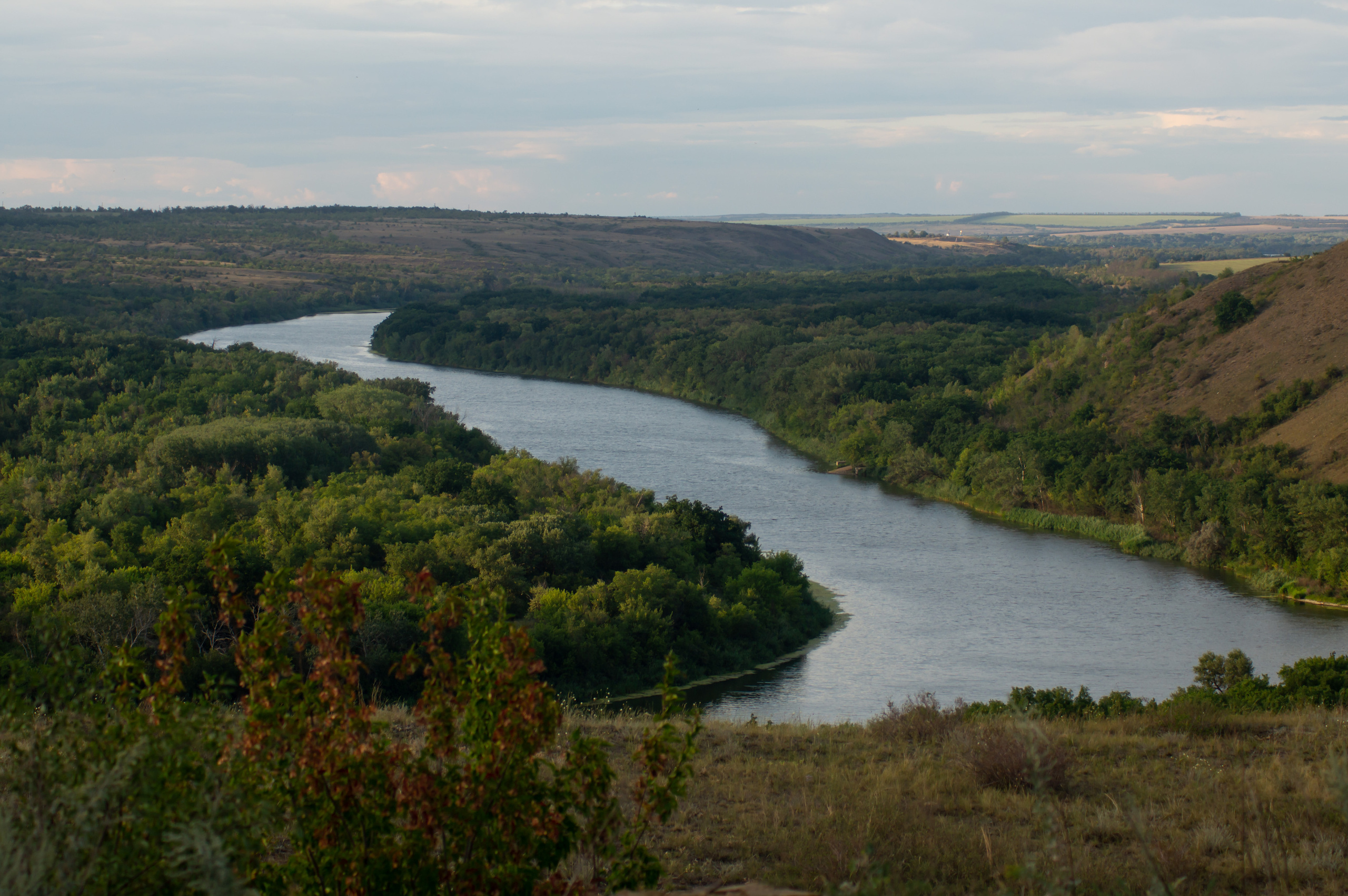 ISAF 2020. Фотограф и ретушер в городе Ростове-на-Дону Слукина Анна