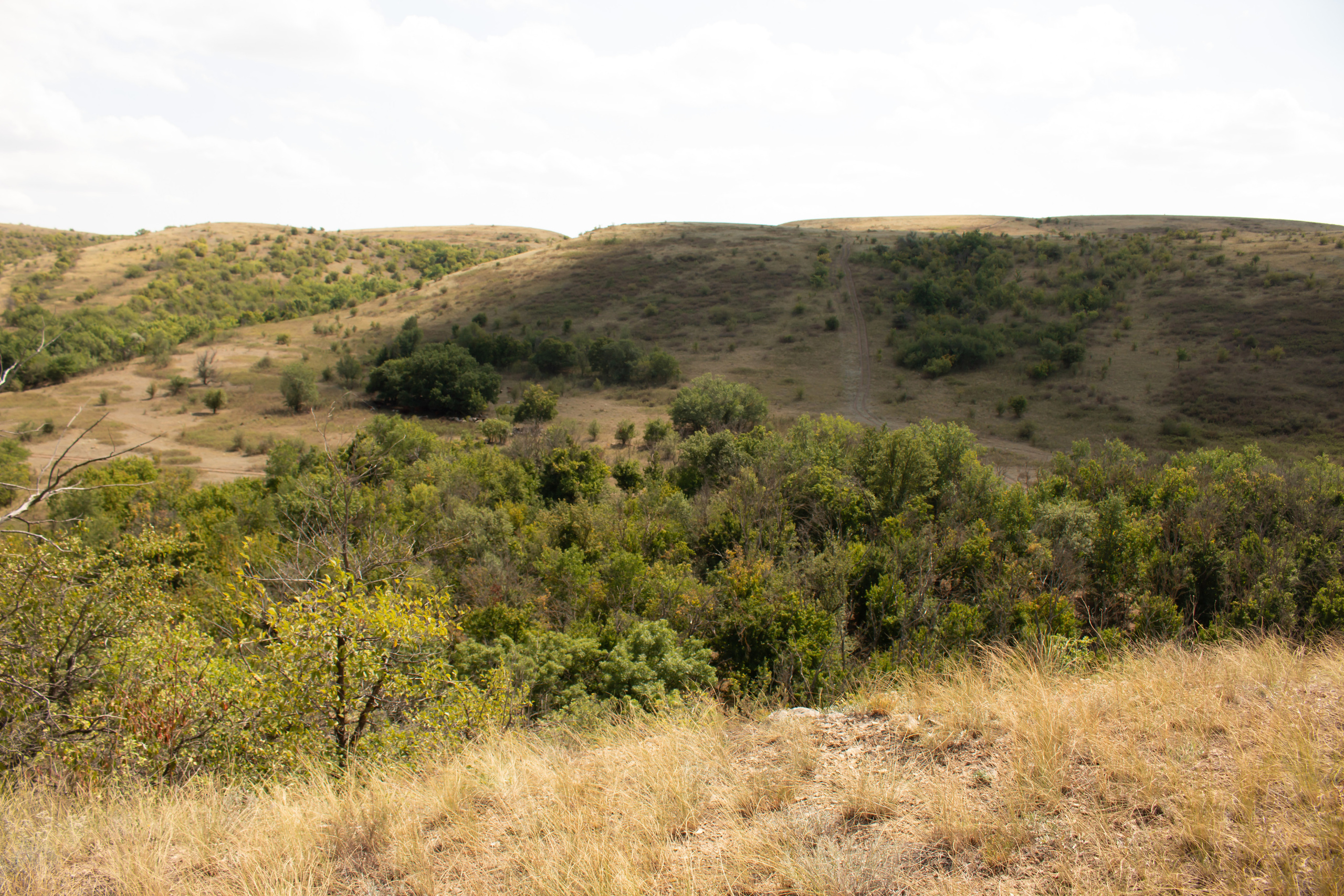 ISAF 2020. Фотограф и ретушер в городе Ростове-на-Дону Слукина Анна
