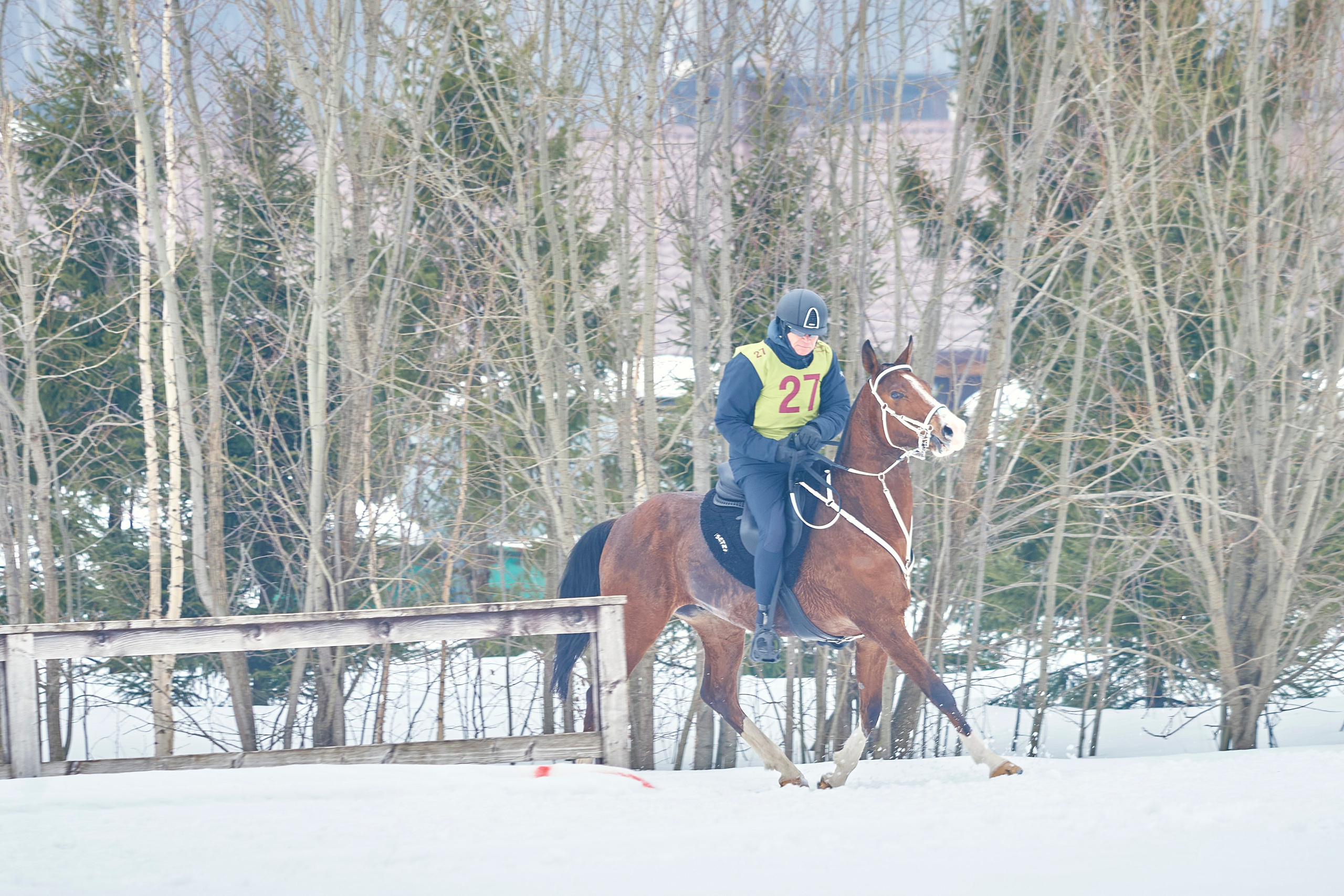 HORSE RACING. Фотограф Наталья Леонова