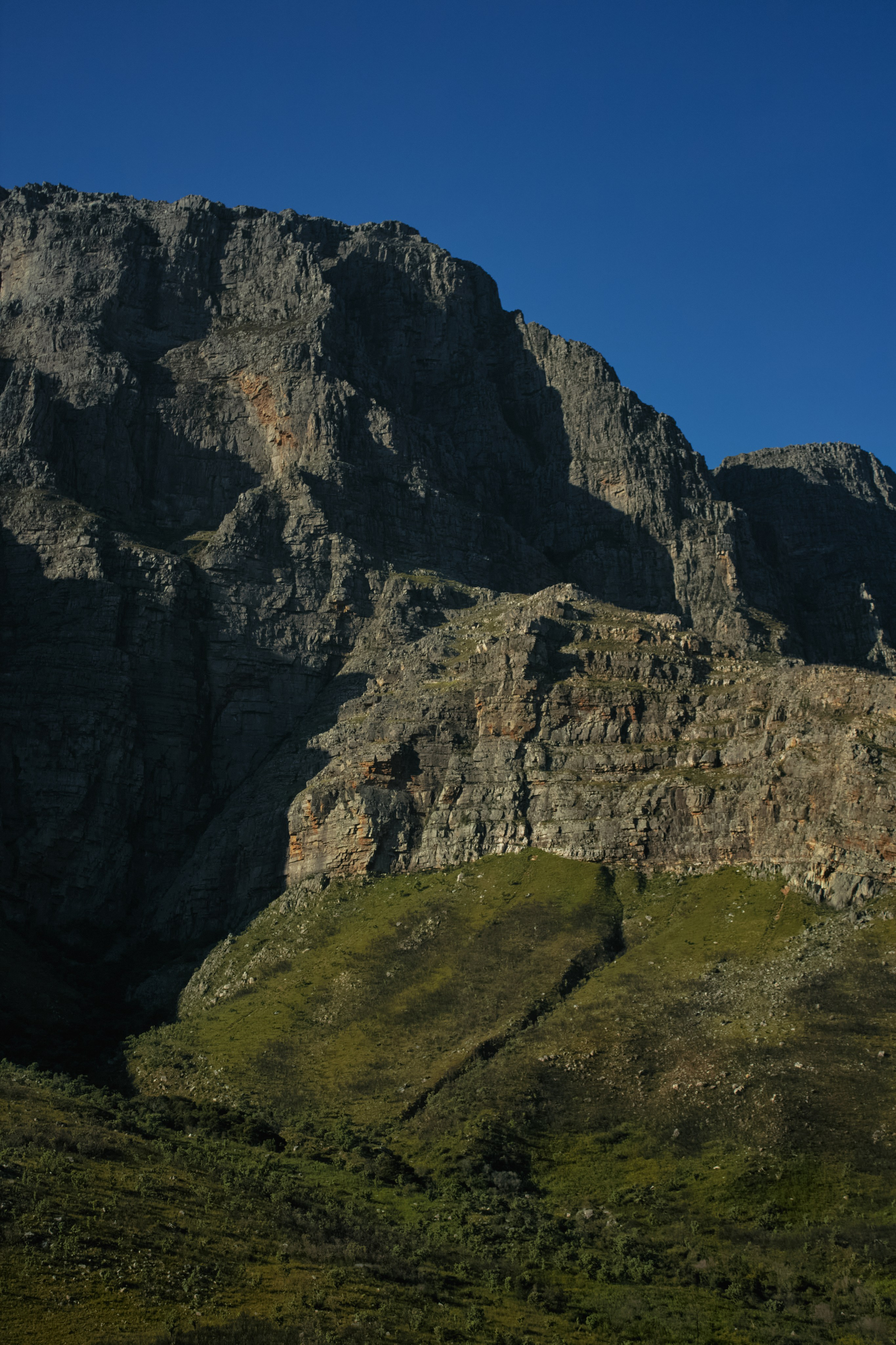 ЮАР. Профессиональный Фотограф во Владимире, в Москве и в Суздале — Полина Романычева