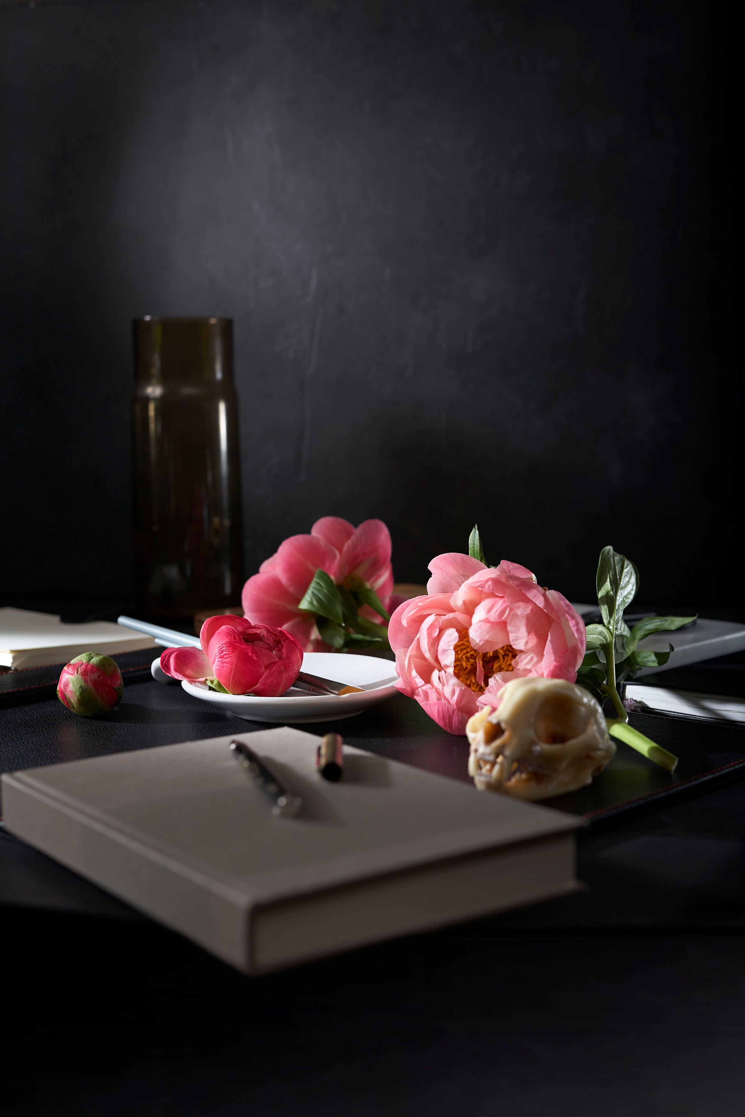 Упражнение с черепом и пионами. Коммерческий и художественный фотограф в Москве Плоскирев Валерий