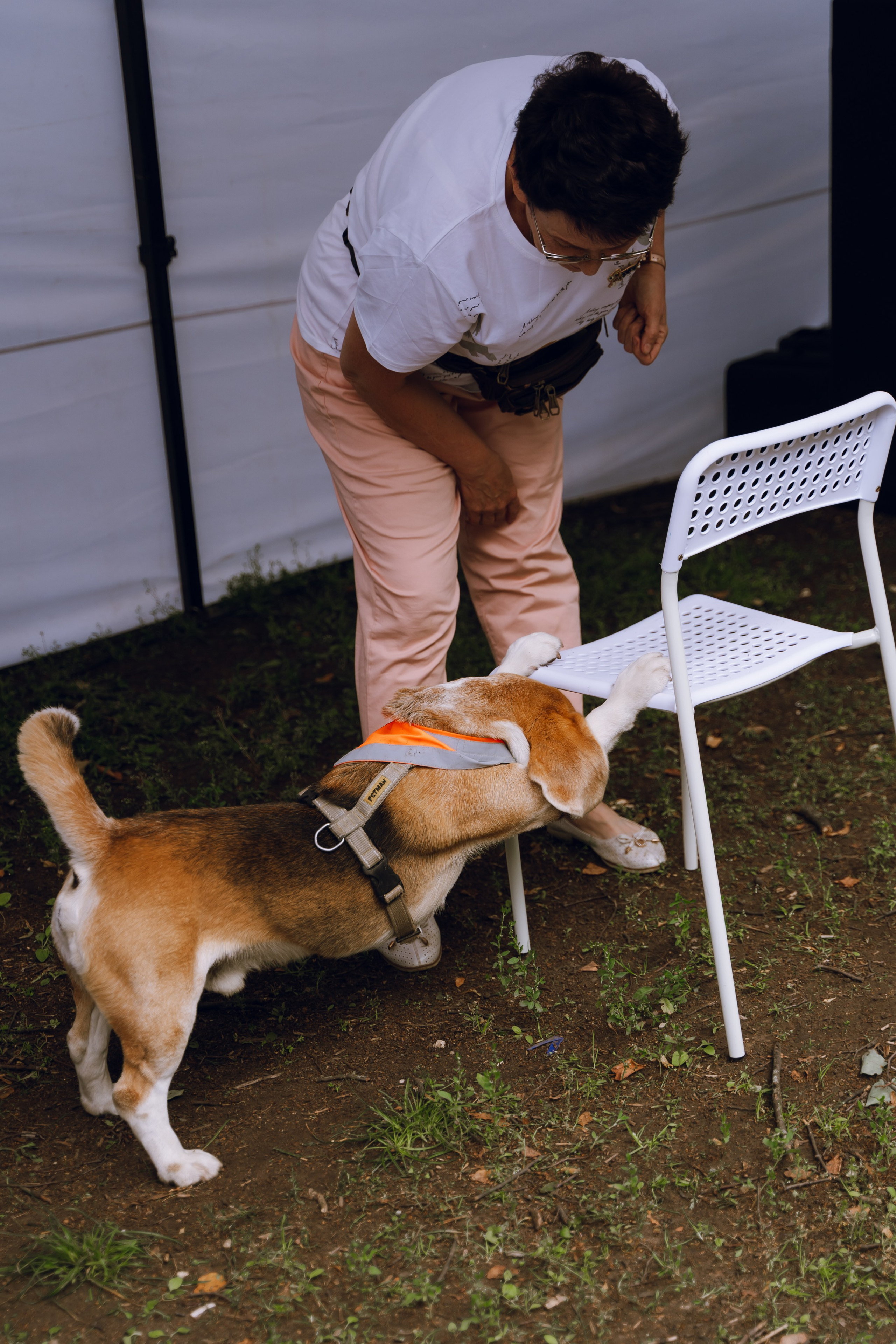 Площадка фестиваля «Мампус и его друзья» в Лесопарке 2025. Фотограф Надежда Погребняк | Рязань | Москва