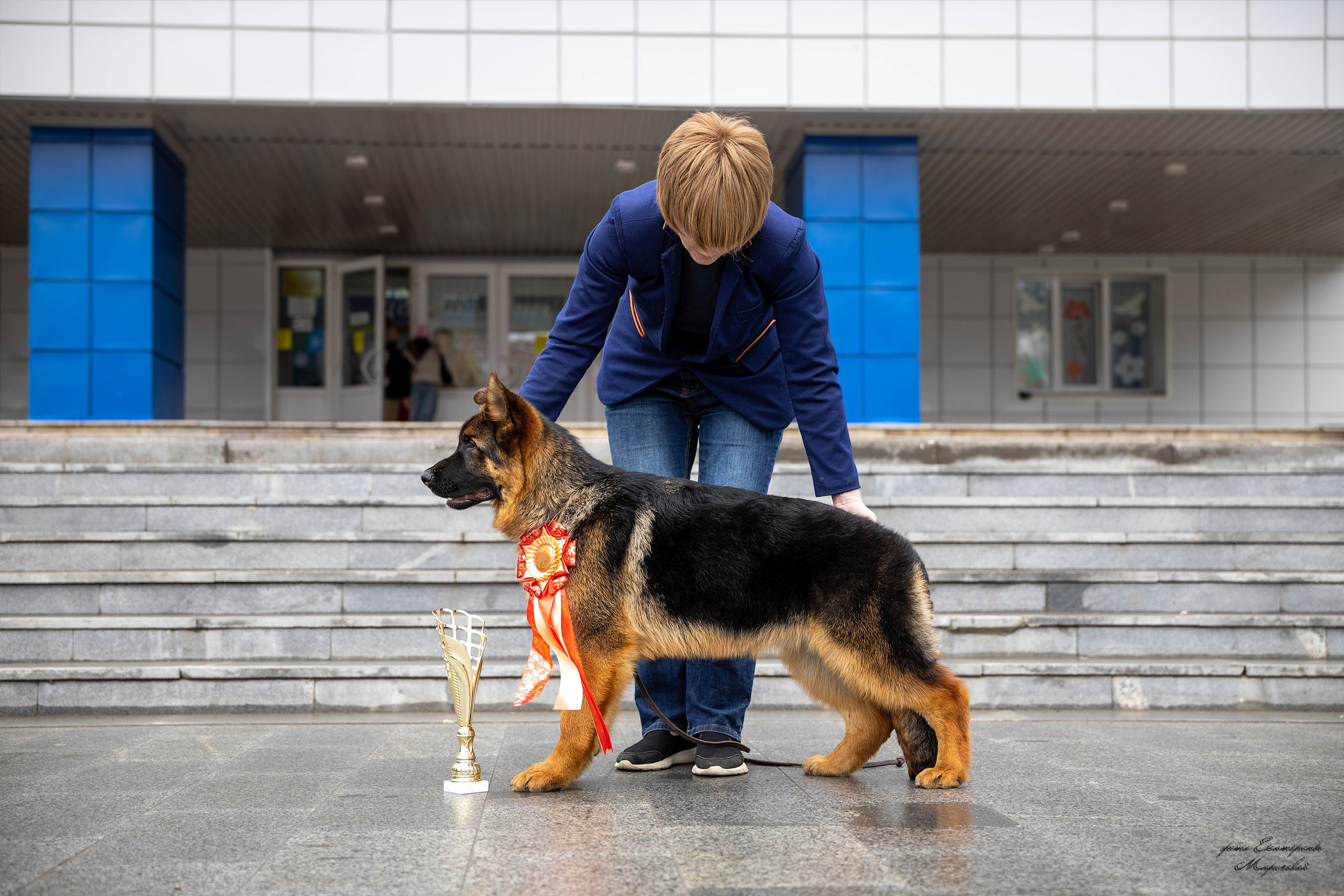 Заринговая съёмка на выставках собак. Фотограф-анималист в Омске Екатерина Маричева