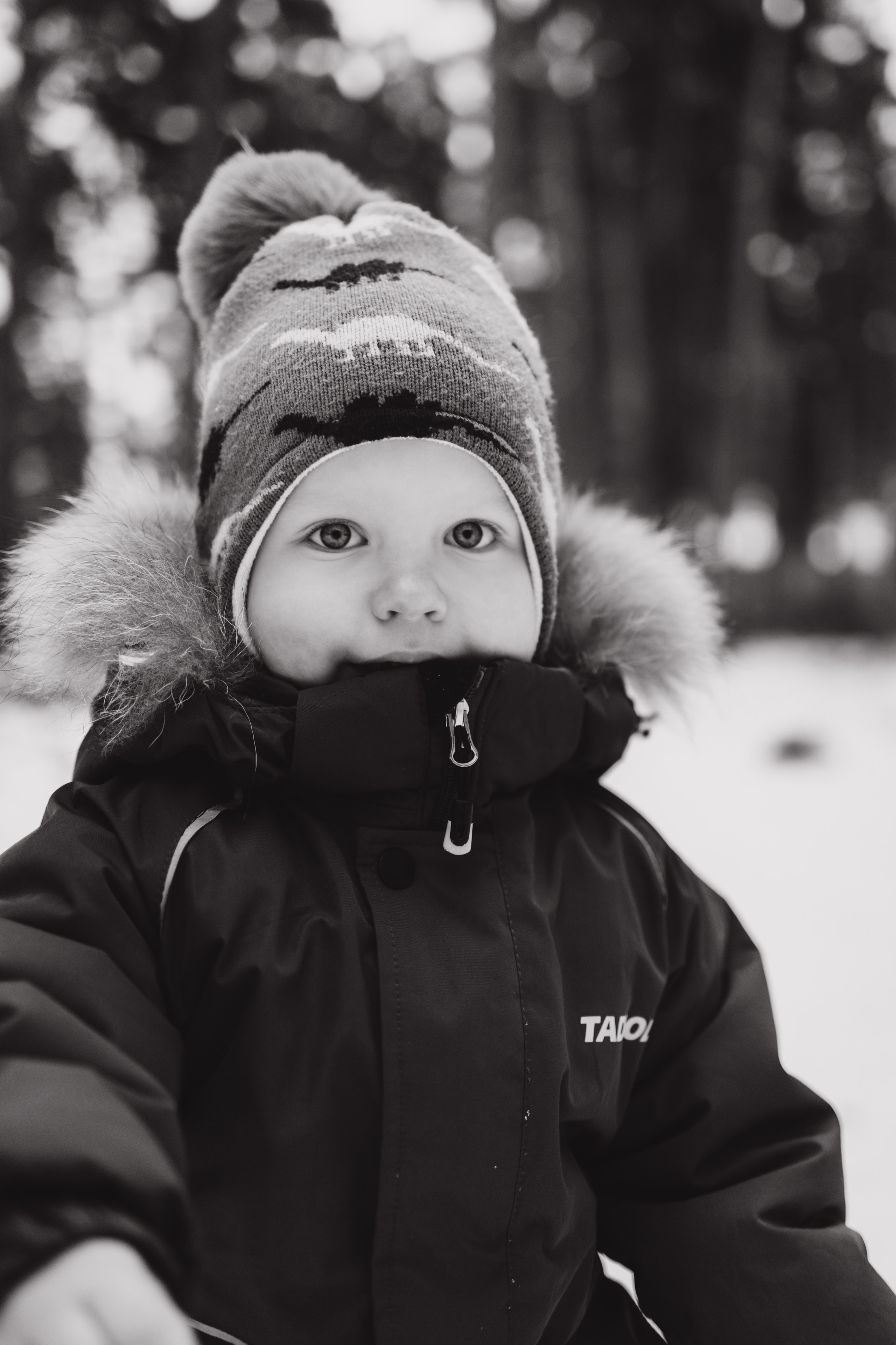 Прогулка в лесу. Коновалова Ольга | фотограф в Пензе и Заречном