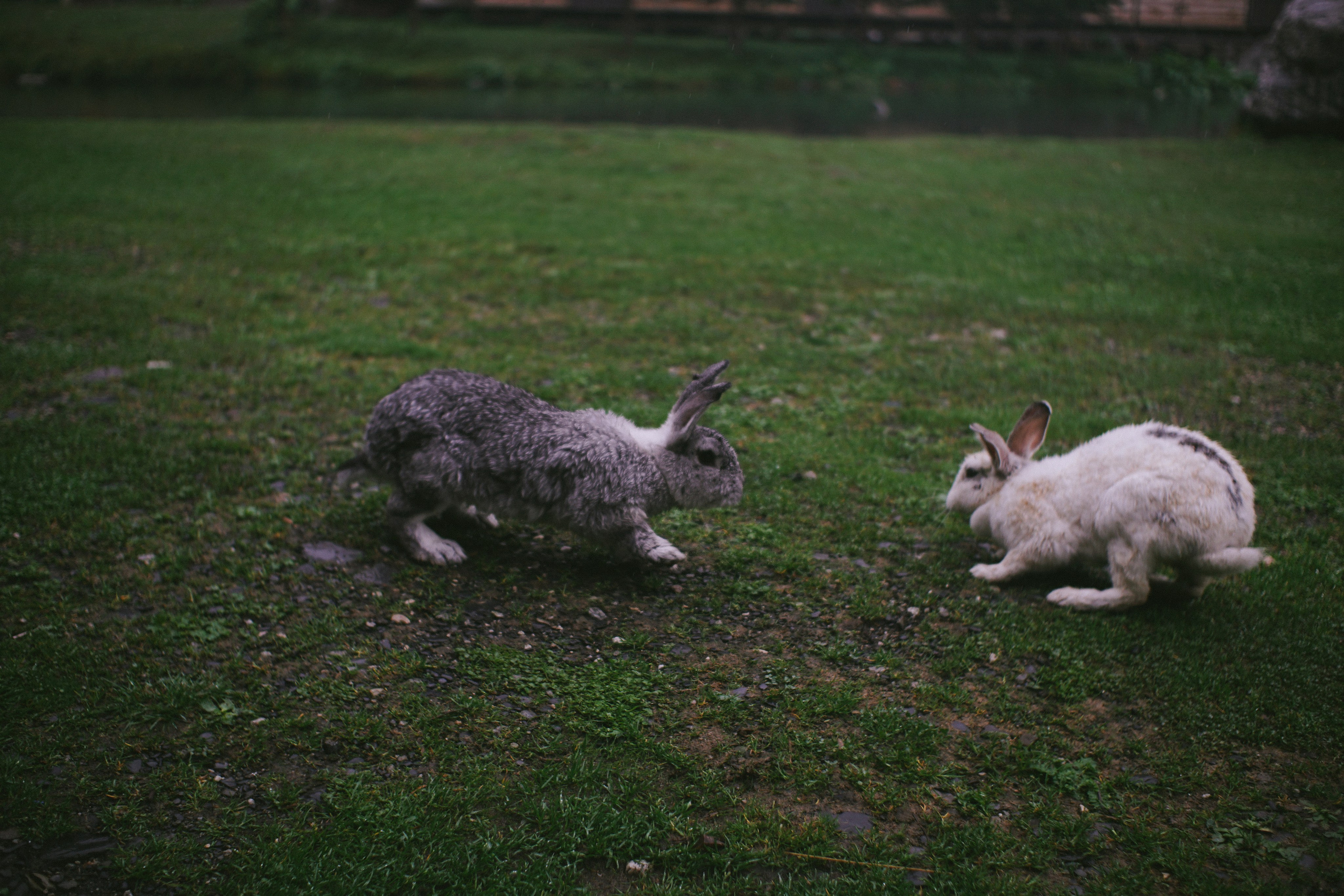 Блог про Верхнюю Балкарию. NECULTURED PHOTOGRAPHER