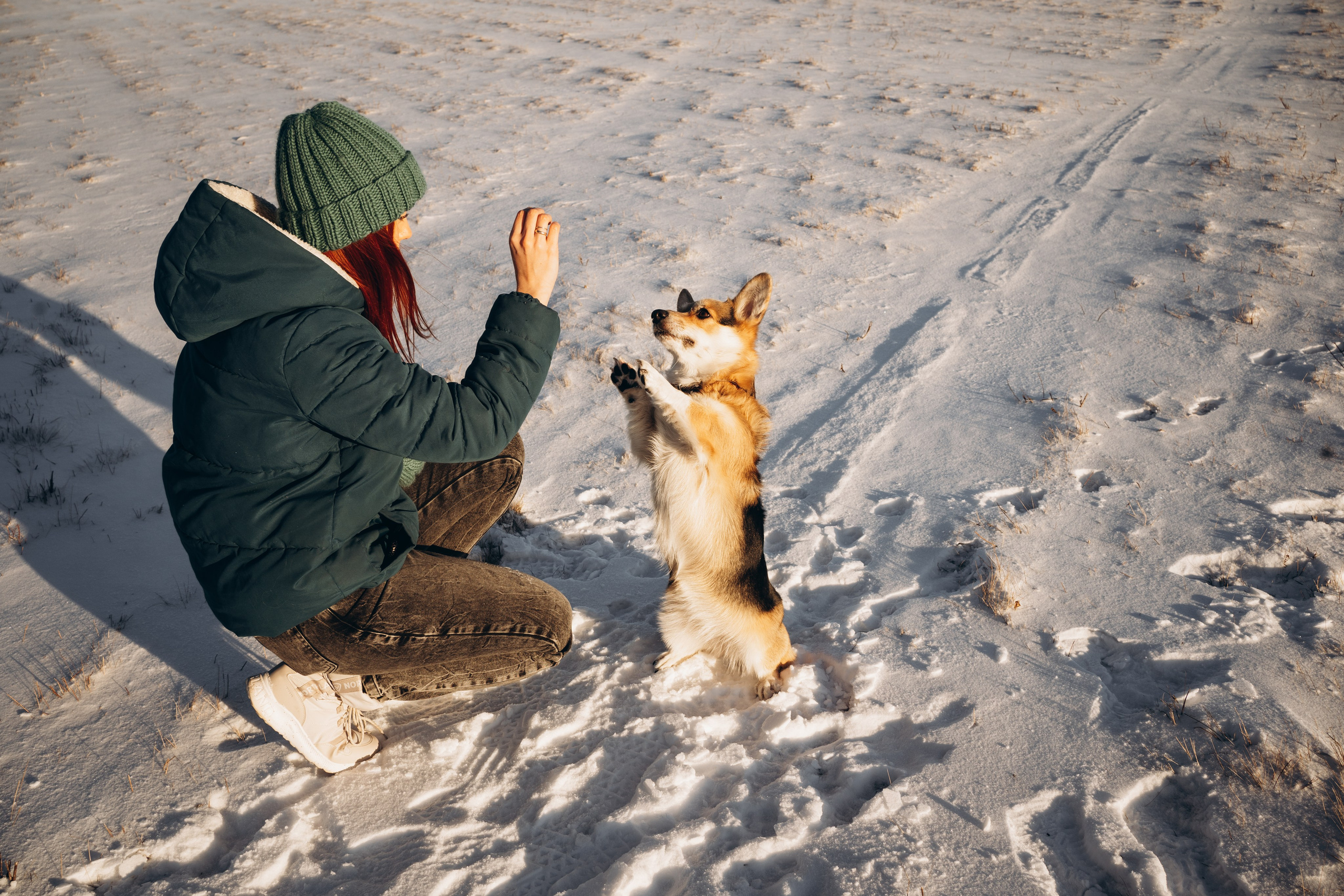 Виктория и Виски. Фотограф-анималист Анастасия Большакова
