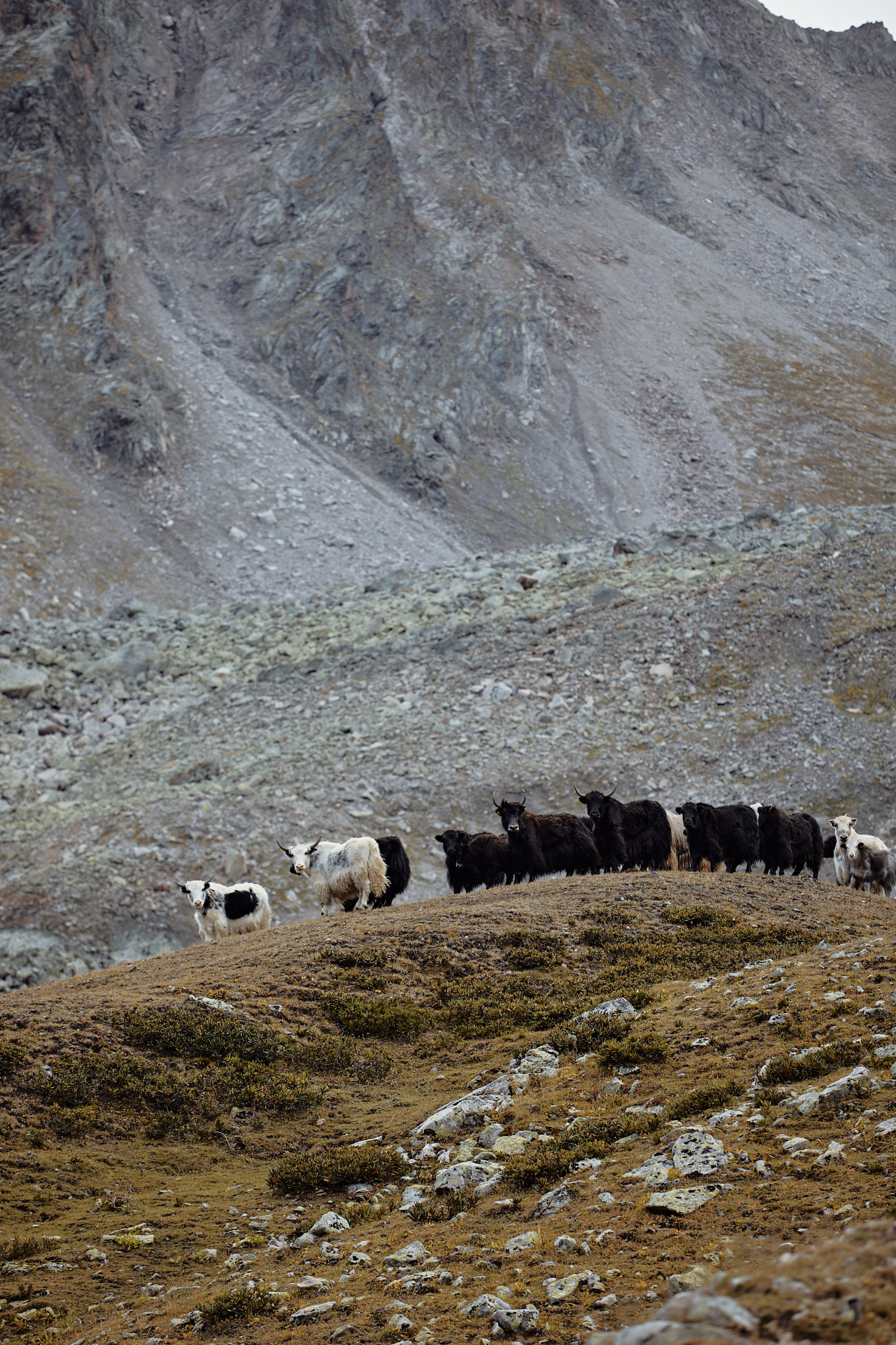 Озеро Гийбашкель. Фотограф Продюсер в горах КБР / Москва  Нальчик Горы