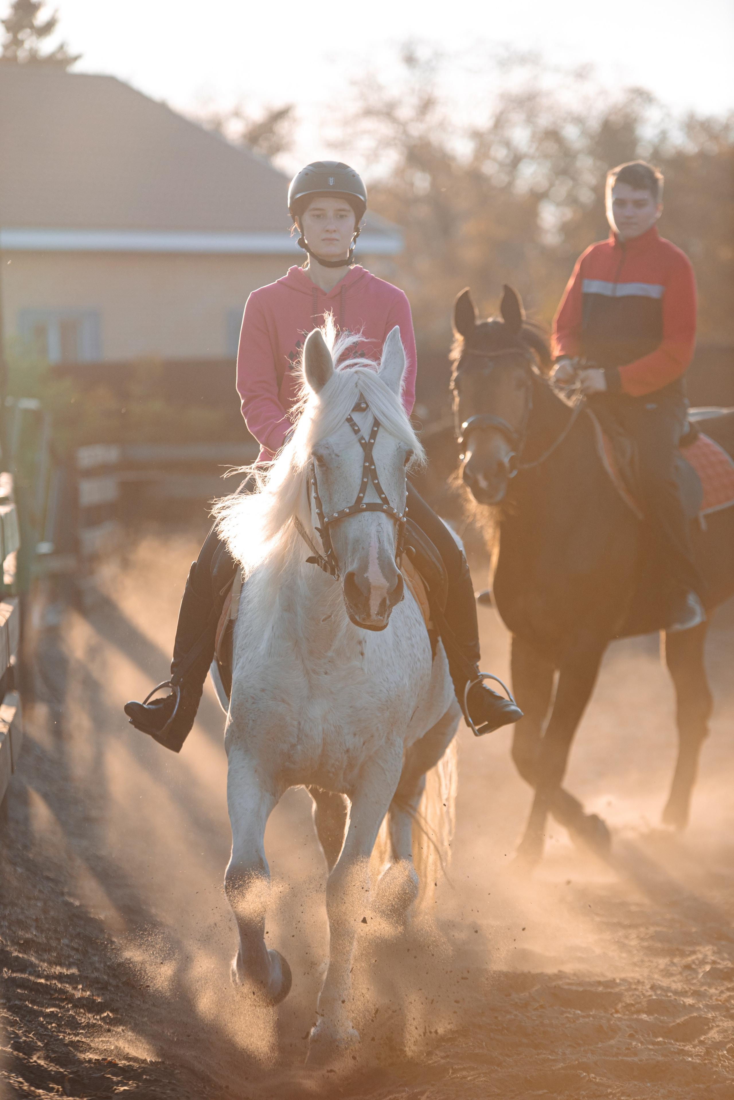 Кони. Мотофотограф в Нижнем Новгороде Динара Зуйкова