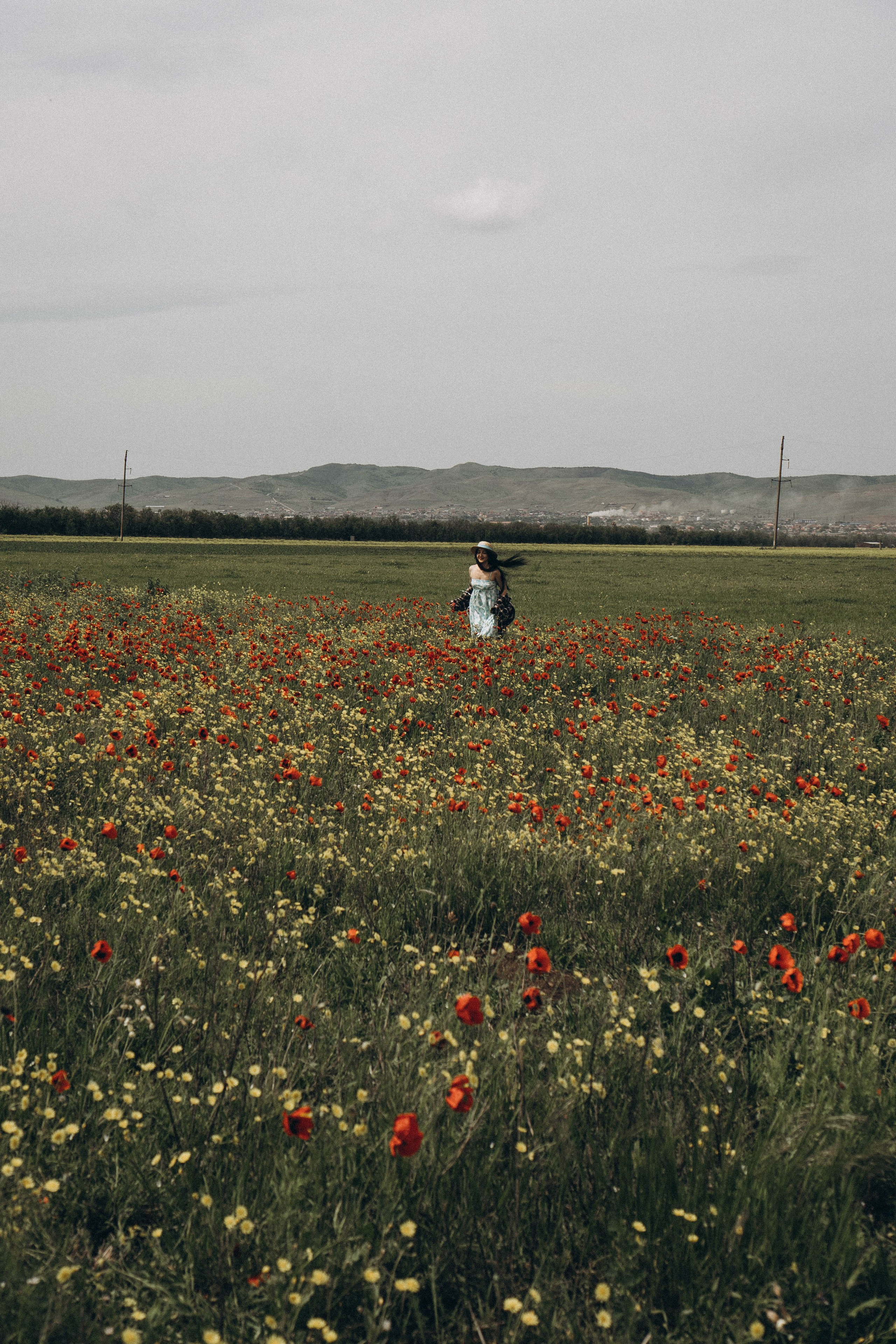 Цветочная поляна. Профессиональный фотограф, Санкт-Петербург — Виктория Богомолова