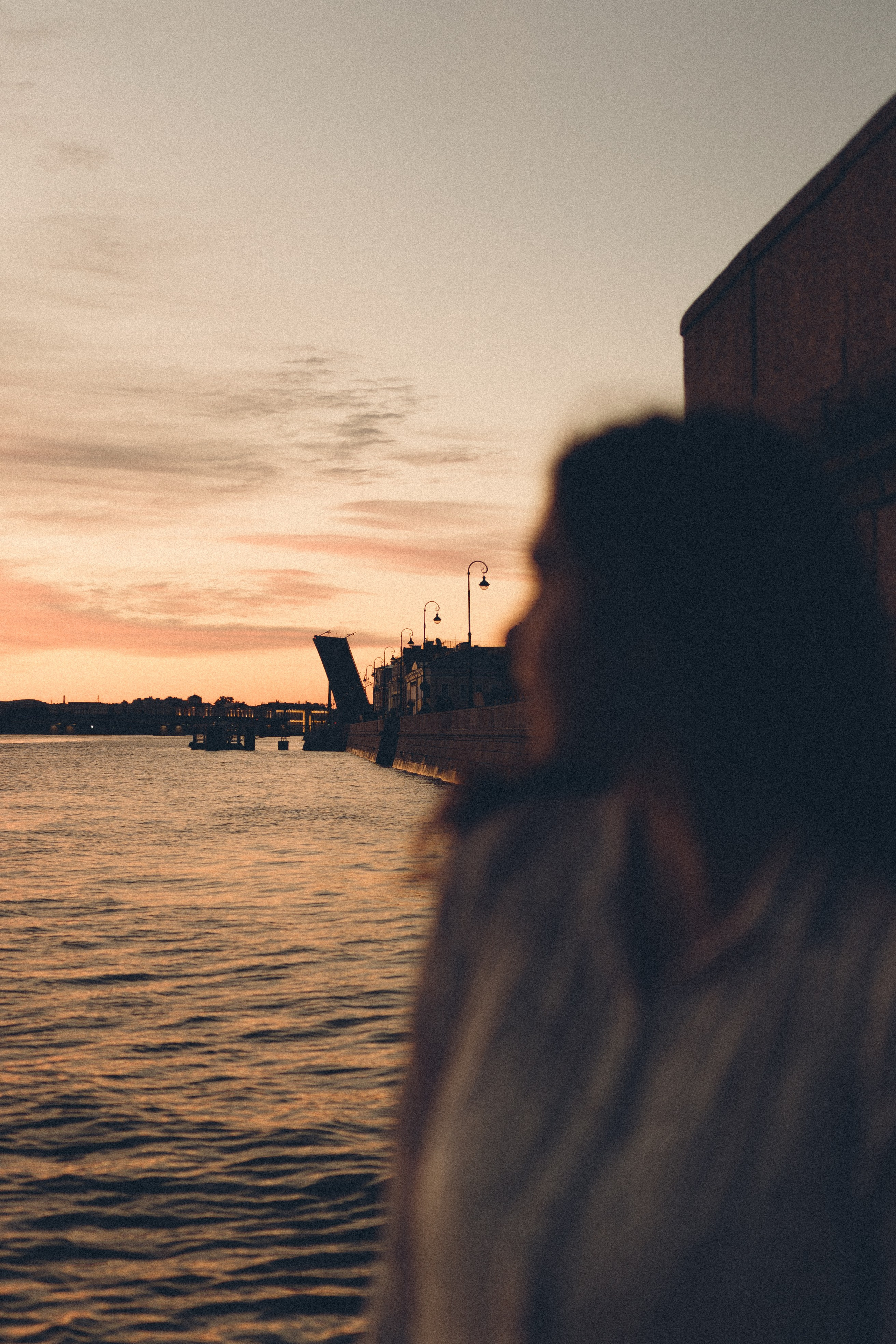 РАССВЕТ С РАЗВОДНЫМИ МОСТАМИ. Профессиональный фотограф, Санкт-Петербург — Виктория Богомолова