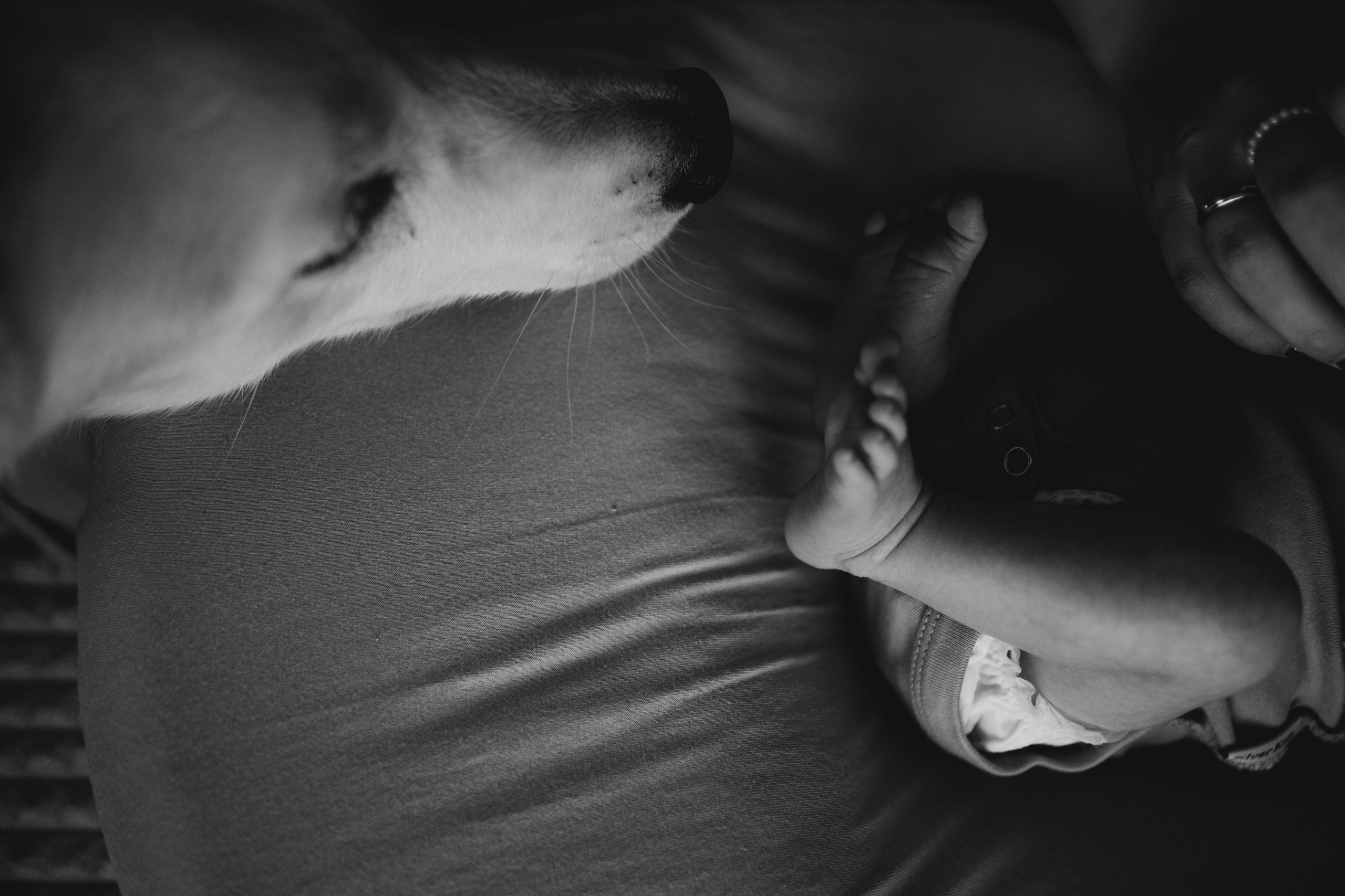 Домашние съемки. Семейный фотограф в Санкт-Петербурге Галина Налимова