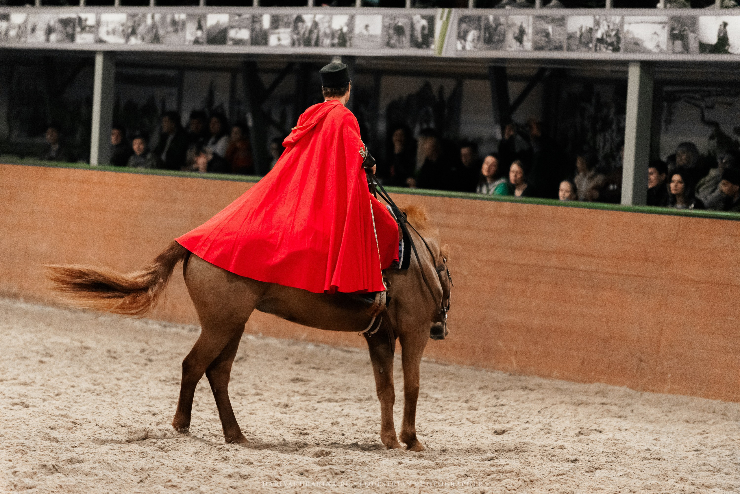Конное представление «Дыхание Звёзд». Конный фотограф Куракина Дарья • Фотосессии с лошадьми