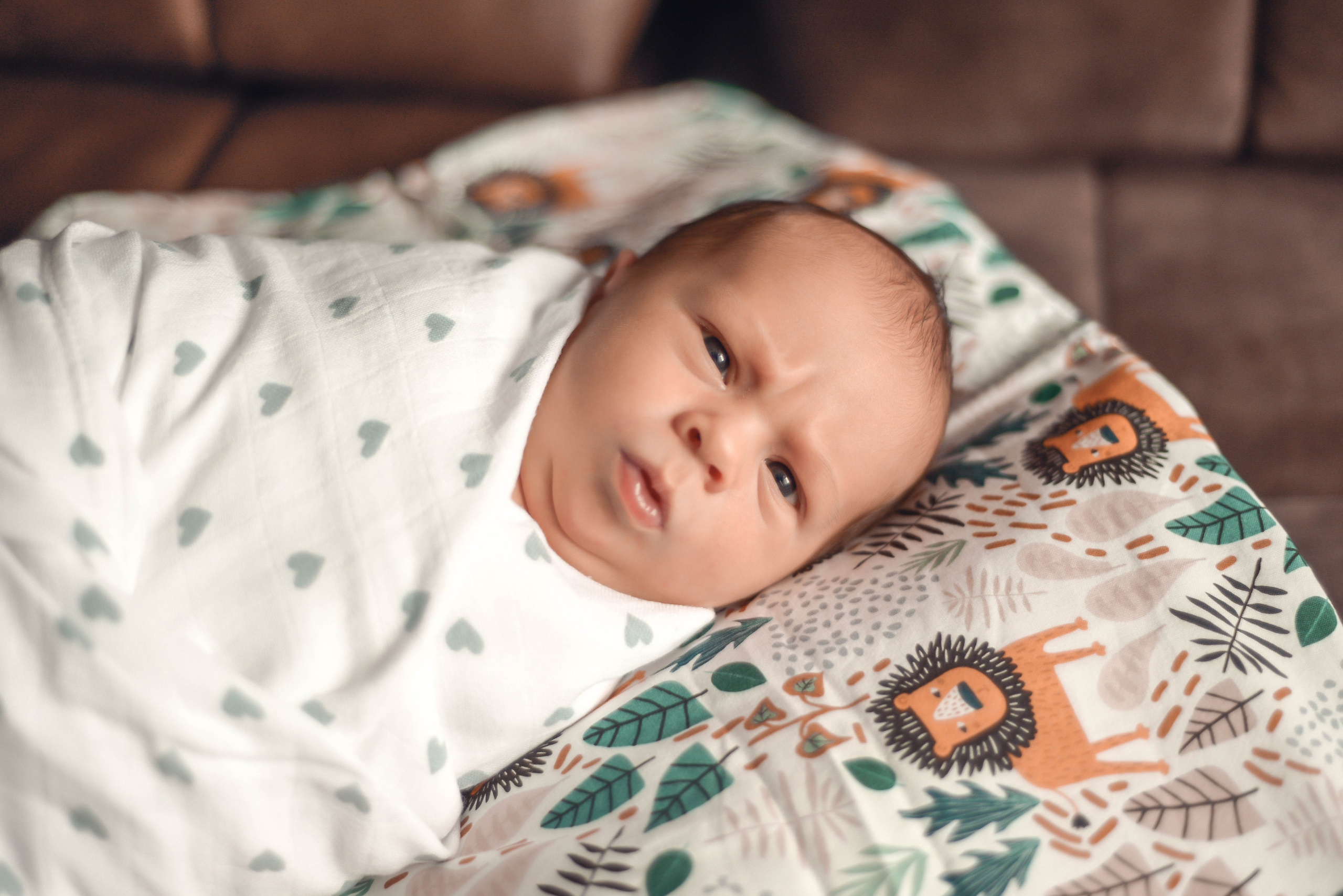 Лев родился. Семейный и детский фотограф в Москве (Тинао) Галкина Алевтина
