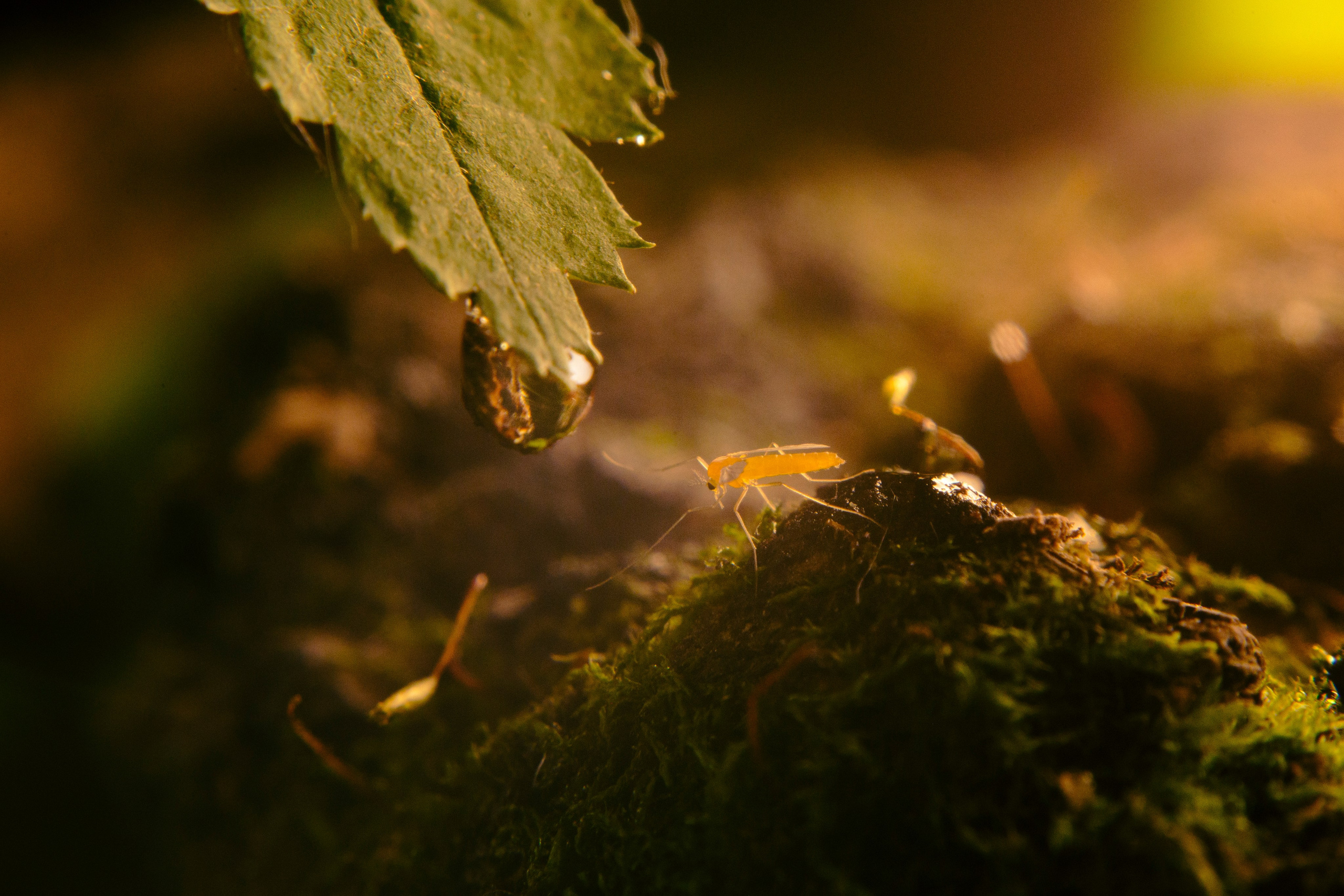 Портфолио. 10sphoto