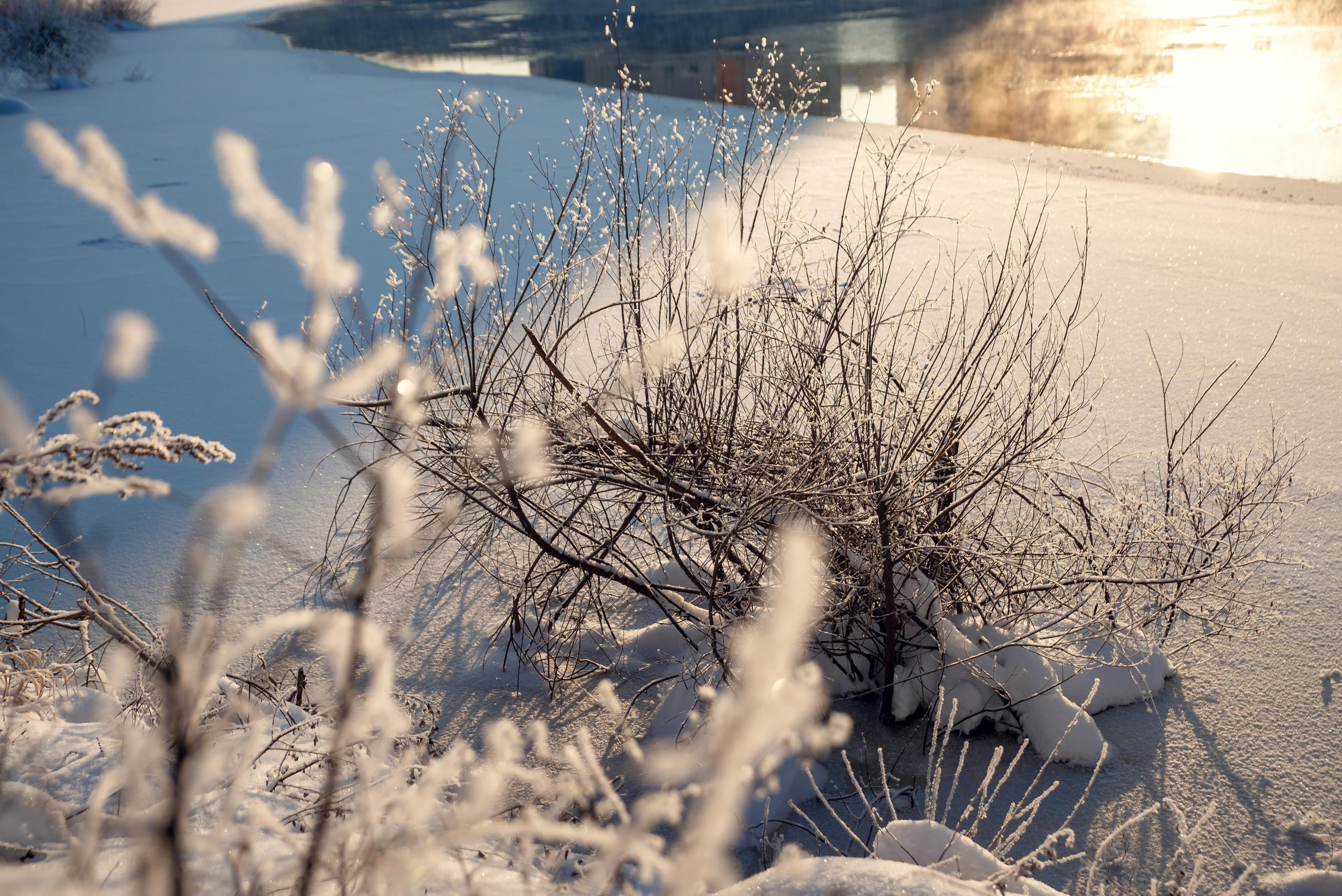 Зимушка зима. Фотограф Крещение Венчание Москва