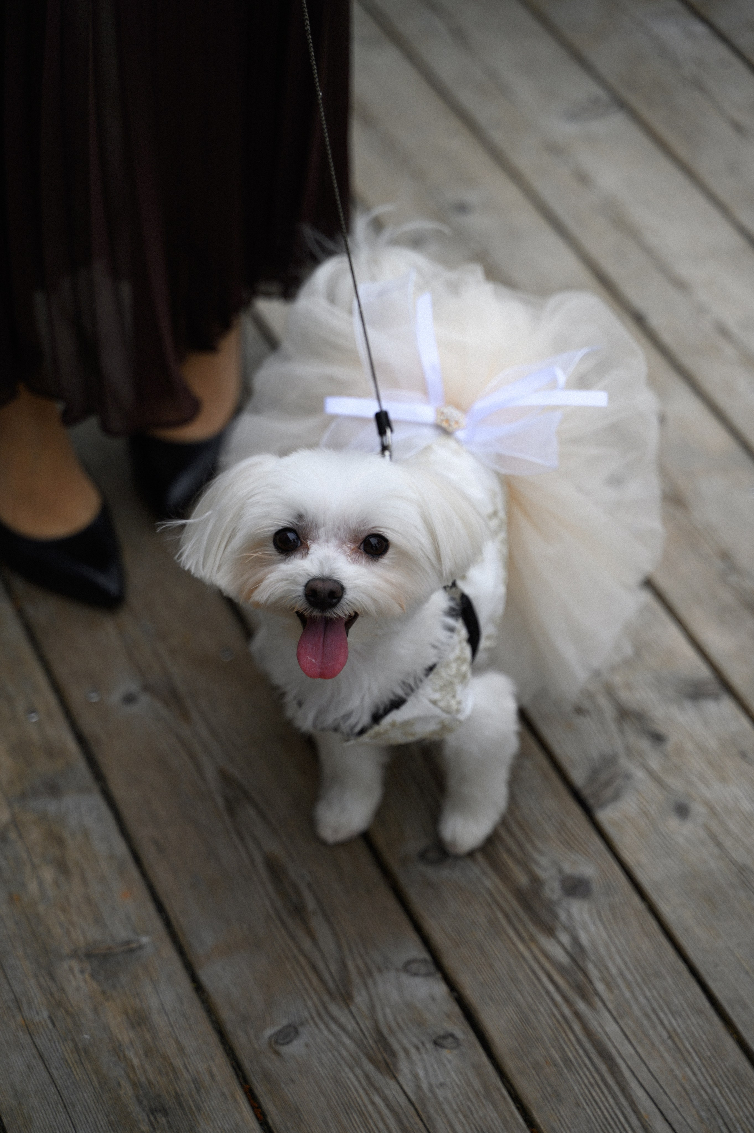 Иван и Наталья. Свадебный фотограф Минск