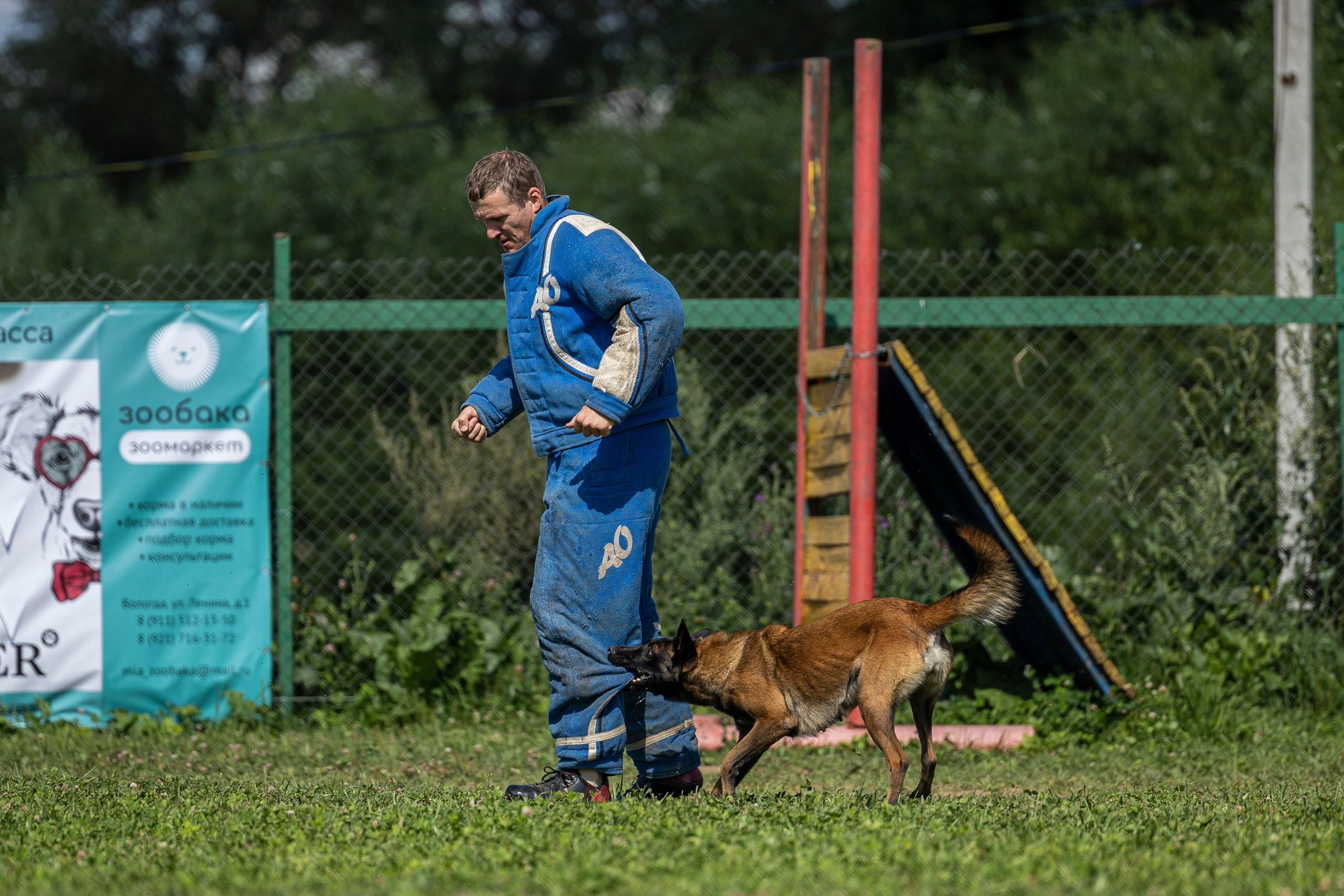 Соревнования по Мондьорингу г. Вологда 10-11.08.2024. Фотограф-анималист Анна Маринич