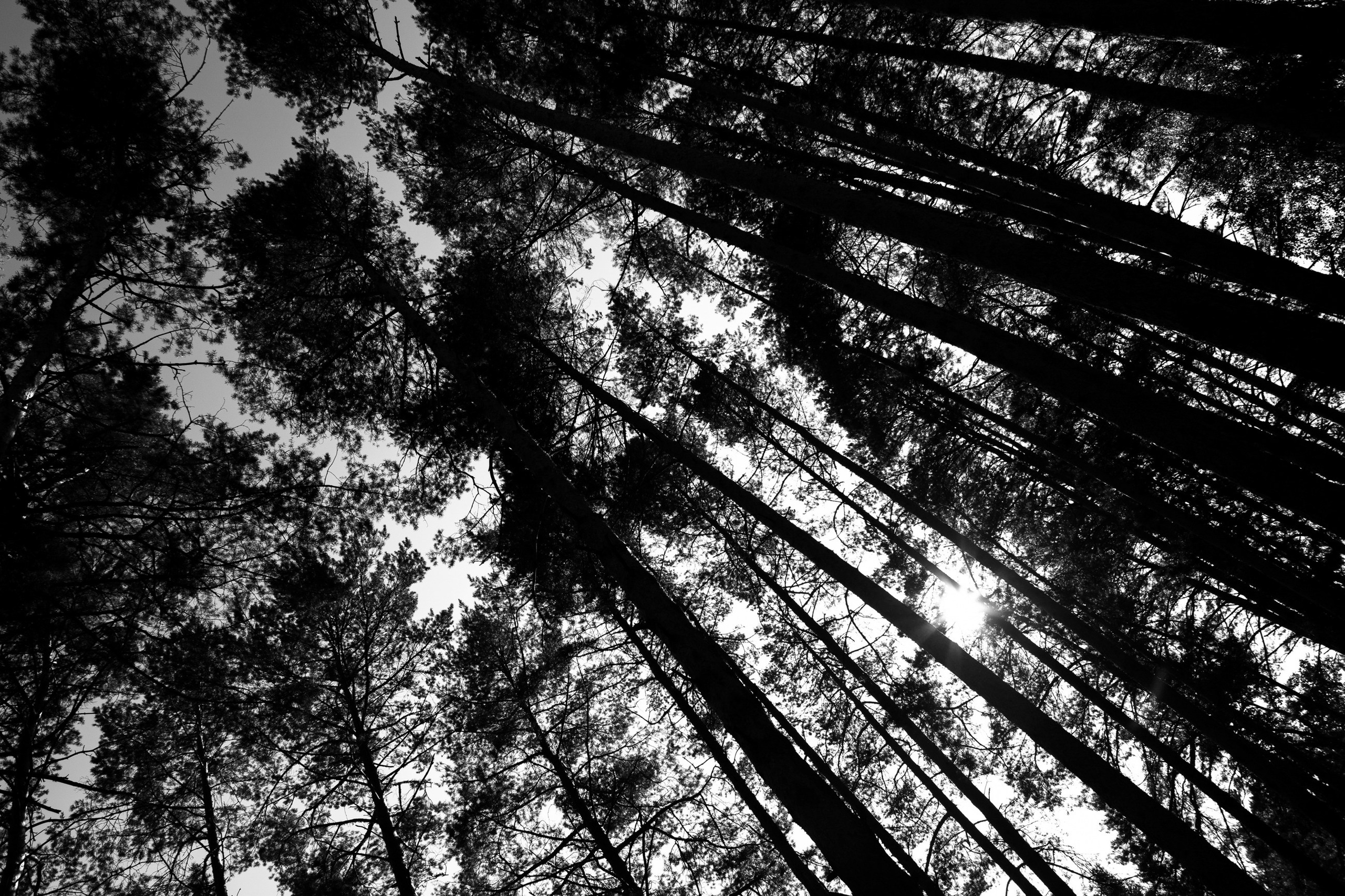 Павел и Алина. LEVORIGINAL