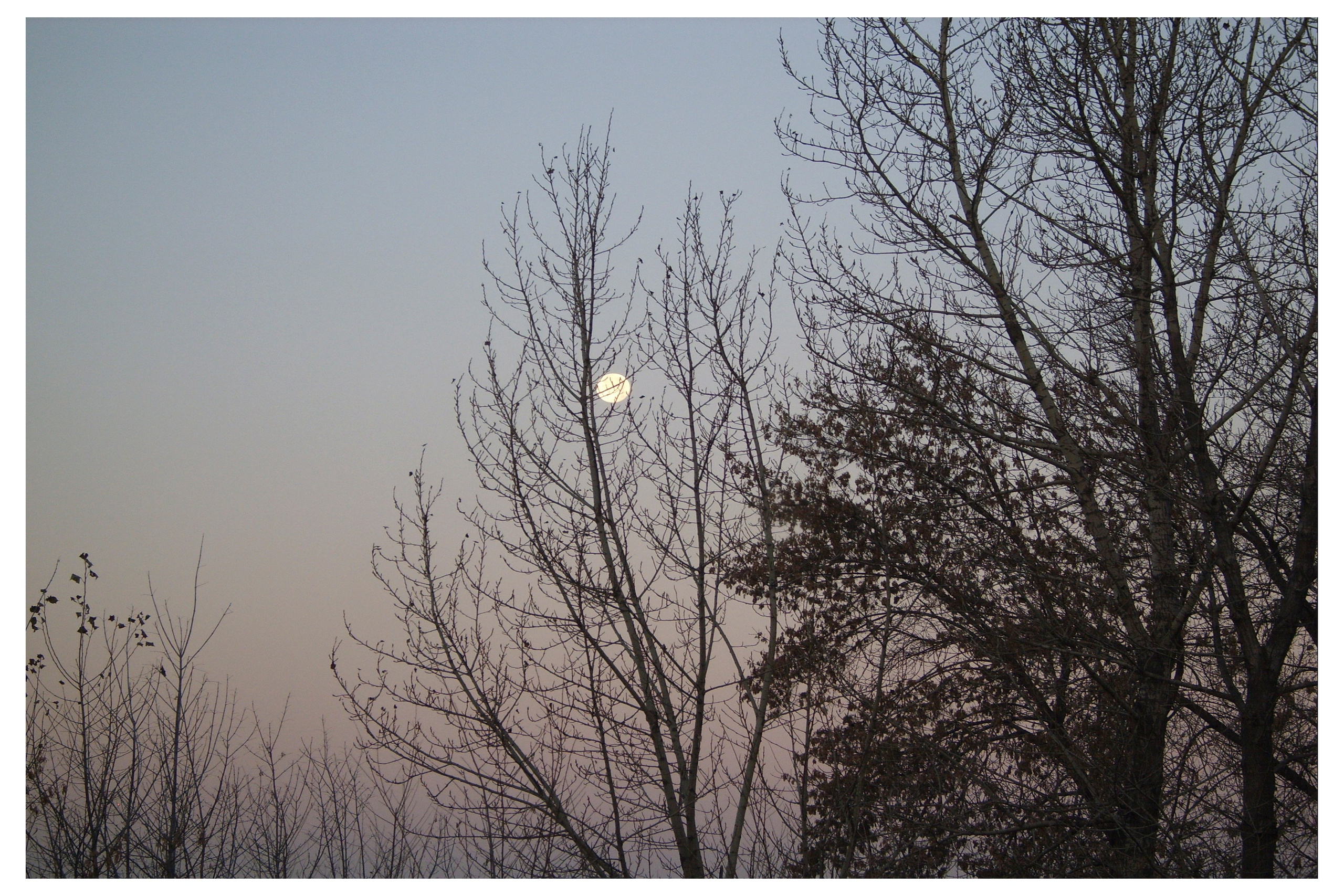 CHELYABINSK. Photographer Manakova Olga