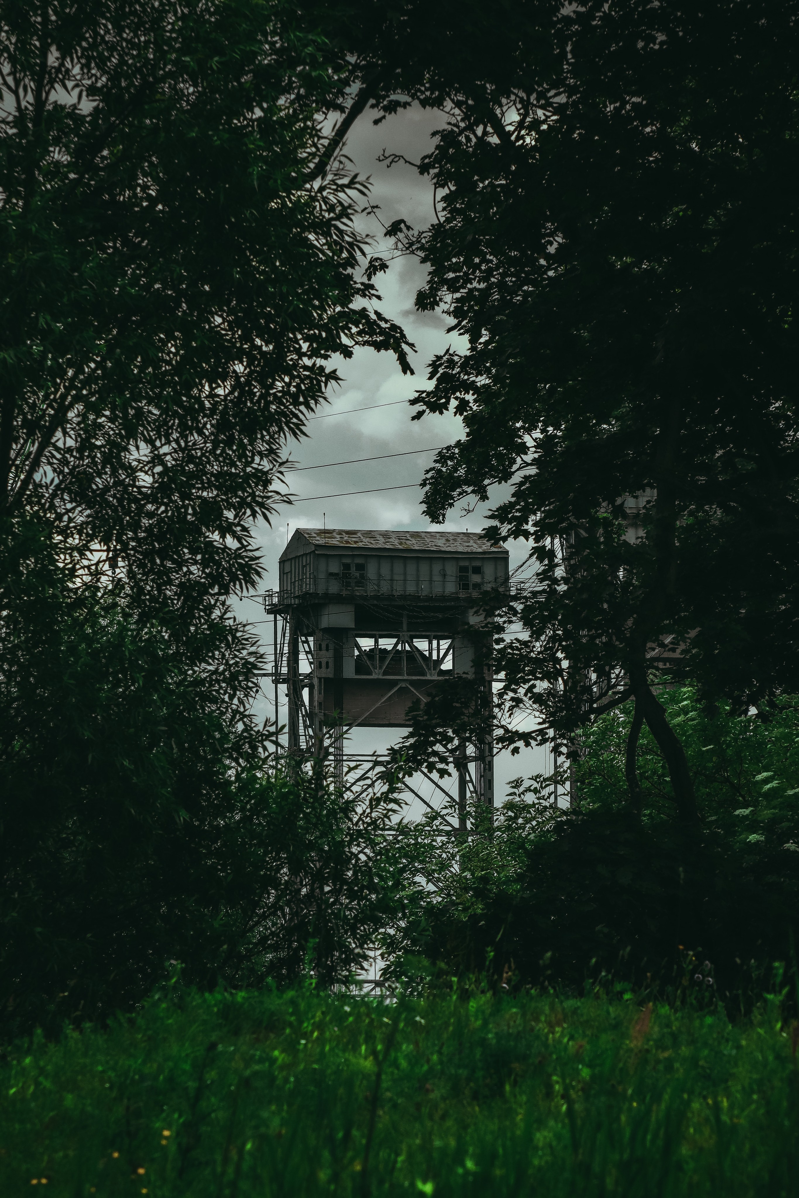 Т Е П Л Ы Й — З Е Л Е Н Ы Й. — Digital Noise —