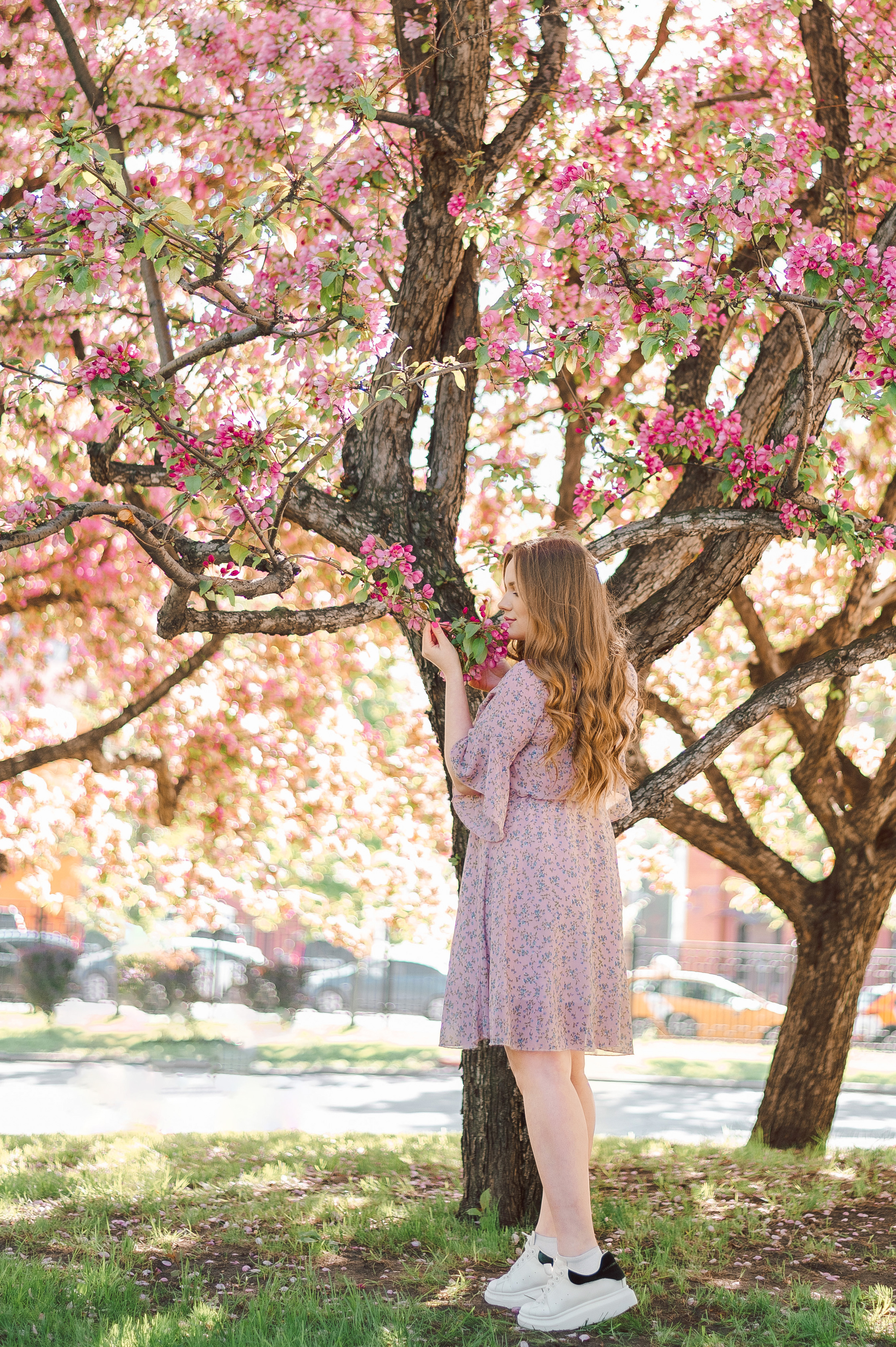Фотосессия в розовой яблоне для Саши. Фотограф в Москве и Московской области Таня Яблочкина