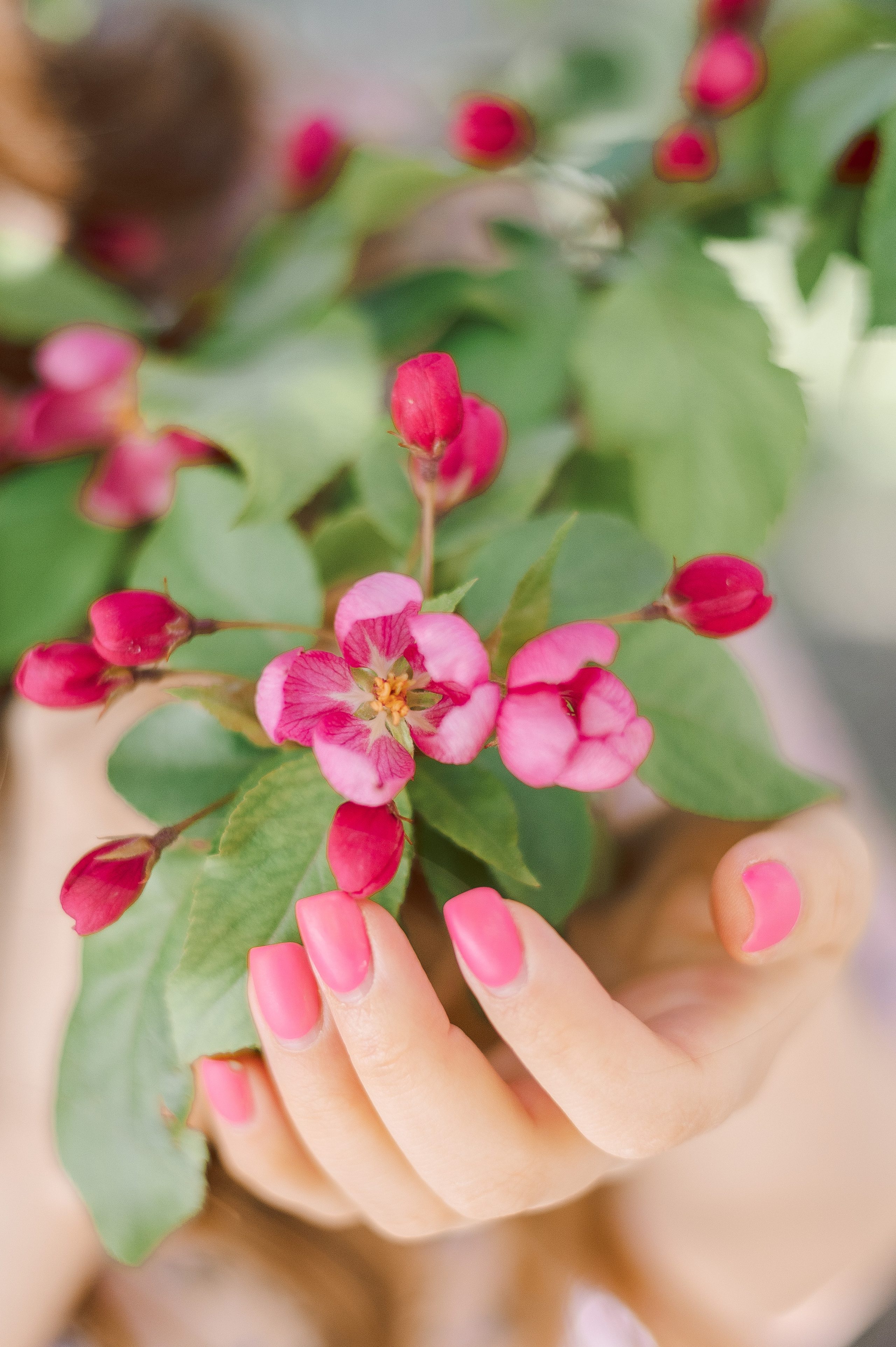 Фотосессия в розовой яблоне для Саши. Фотограф в Москве и Московской области Таня Яблочкина