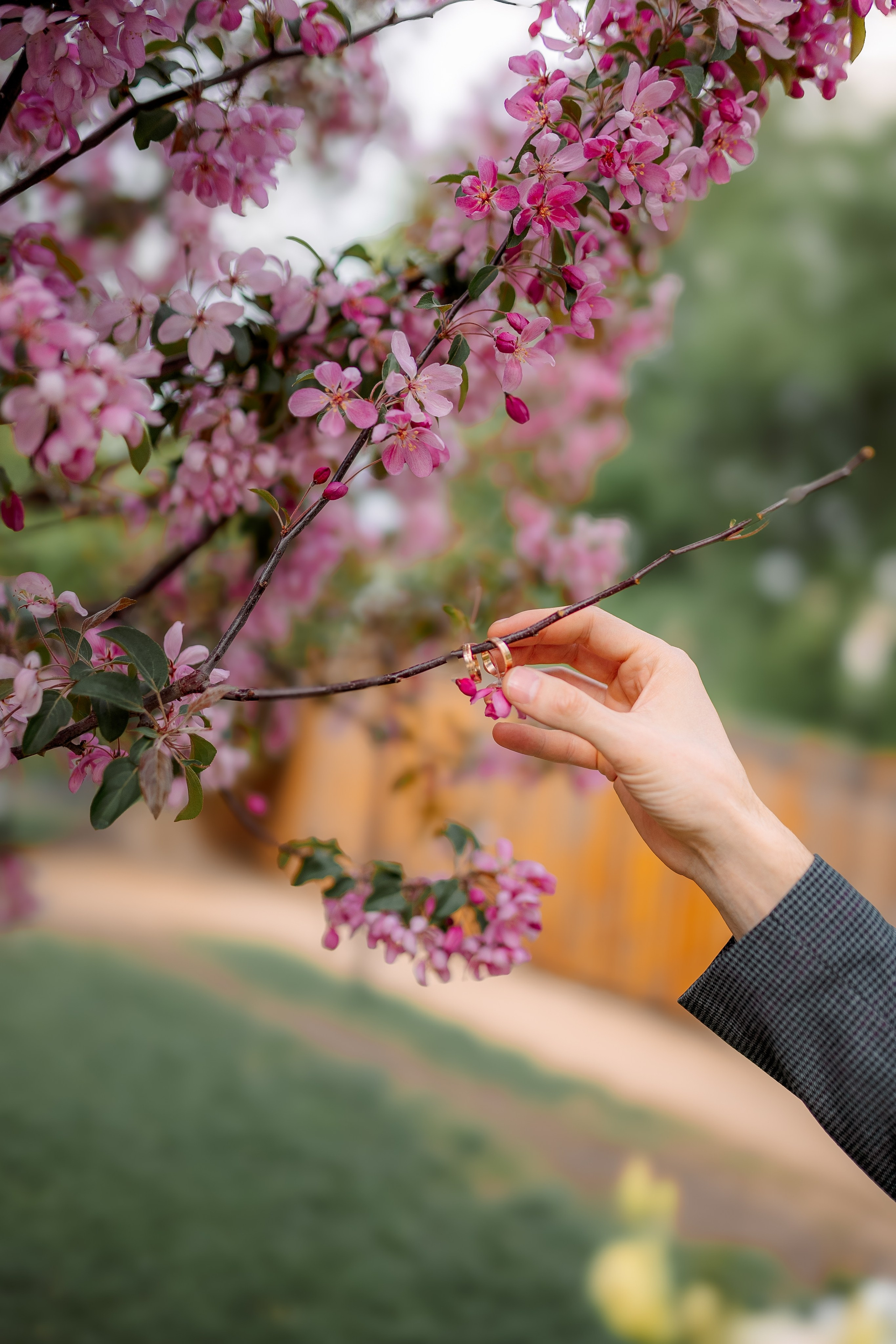Парк. Фотограф Мария Зайчик