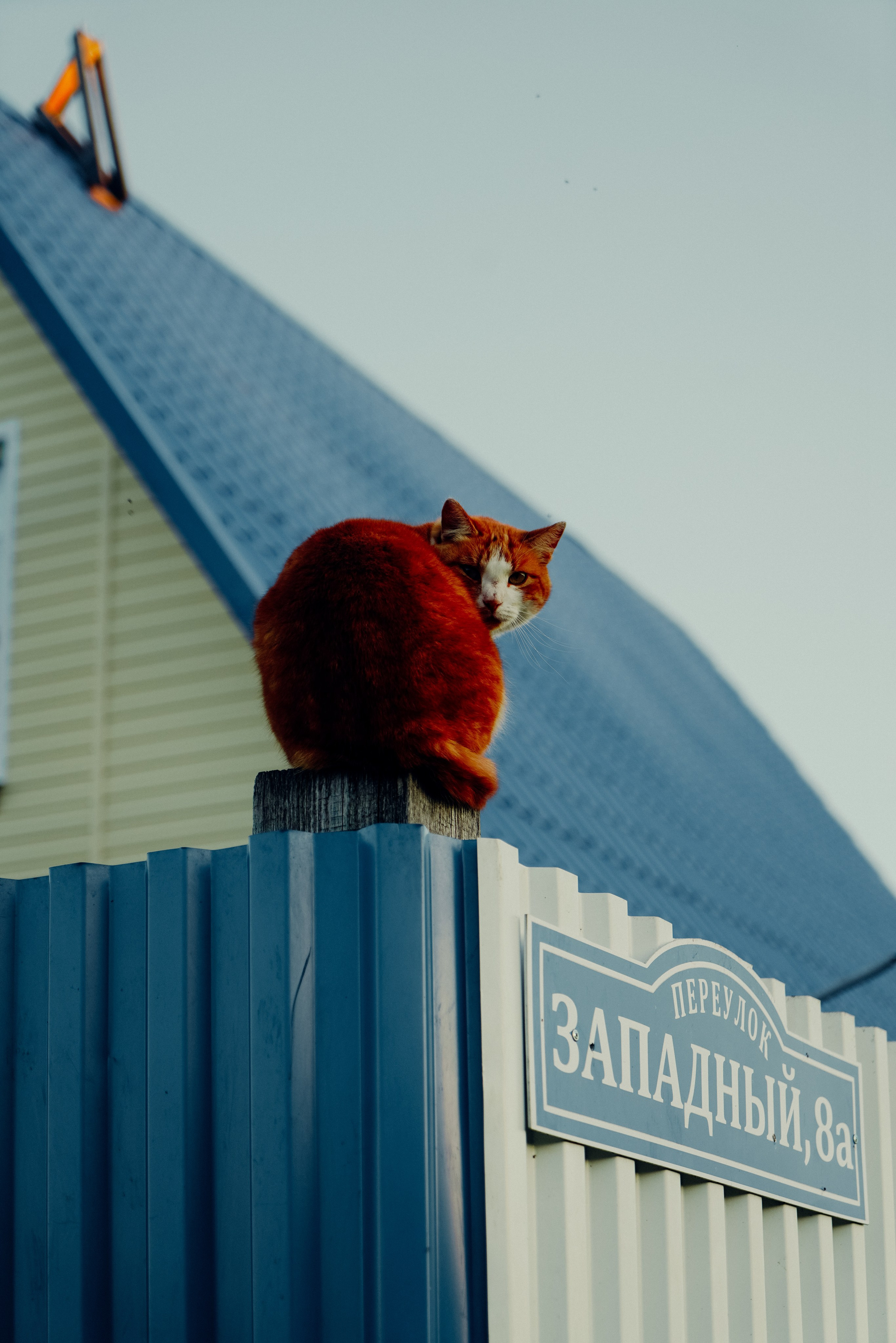 Сухой лог, Сентябрь 2023