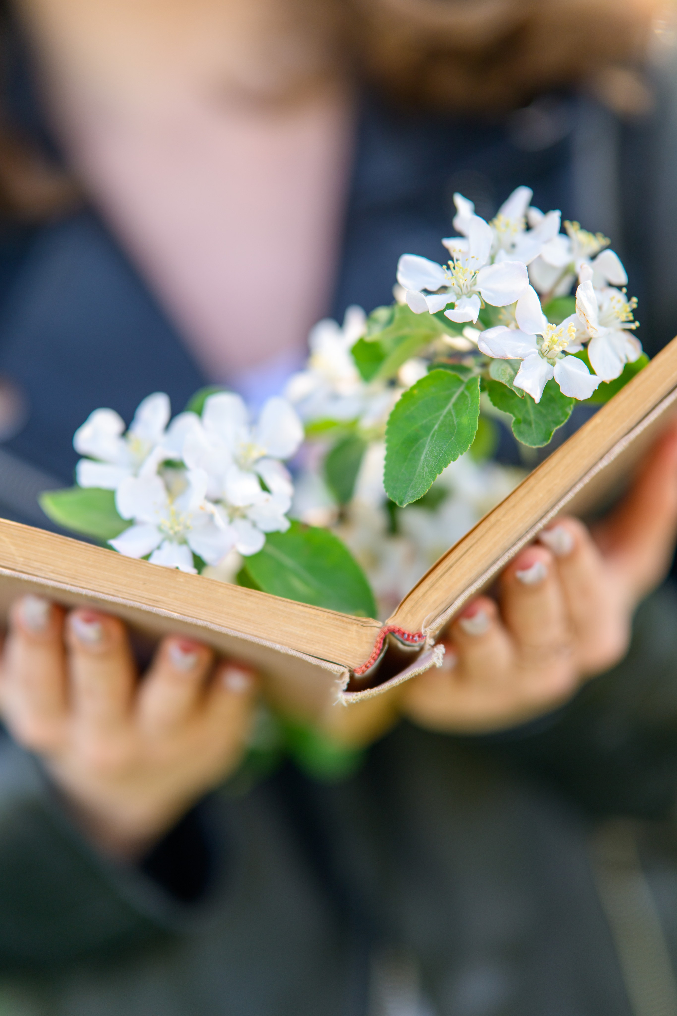 Индивидуальная фотосессия Ростов Ростов-на-дону фотограф ростов фотограф Григорий Новиков novikov.foto. Фотограф Гуково Григорий Новиков novikov.foto