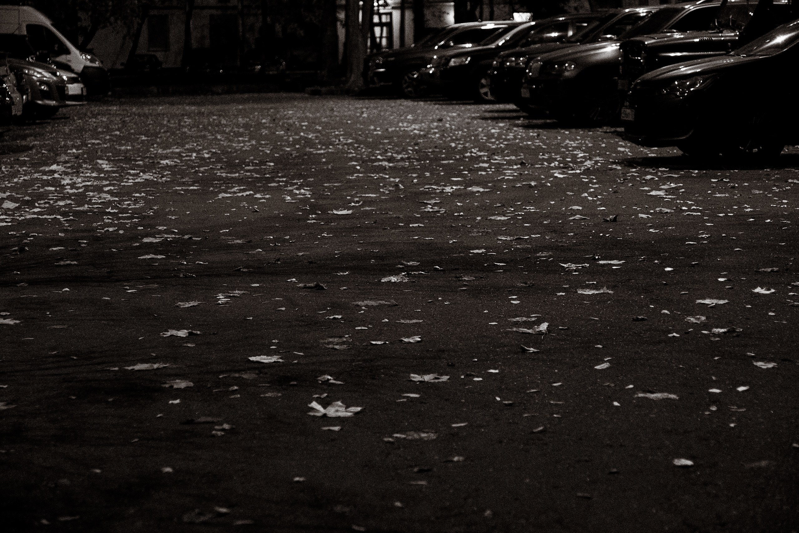 Фотографии сделанные на улицах городов. Профессиональный фотограф Игорь Пискарев в Москве. Студийная и выездная съёмка. Портретная и предметная съёмка. Авторская фотография