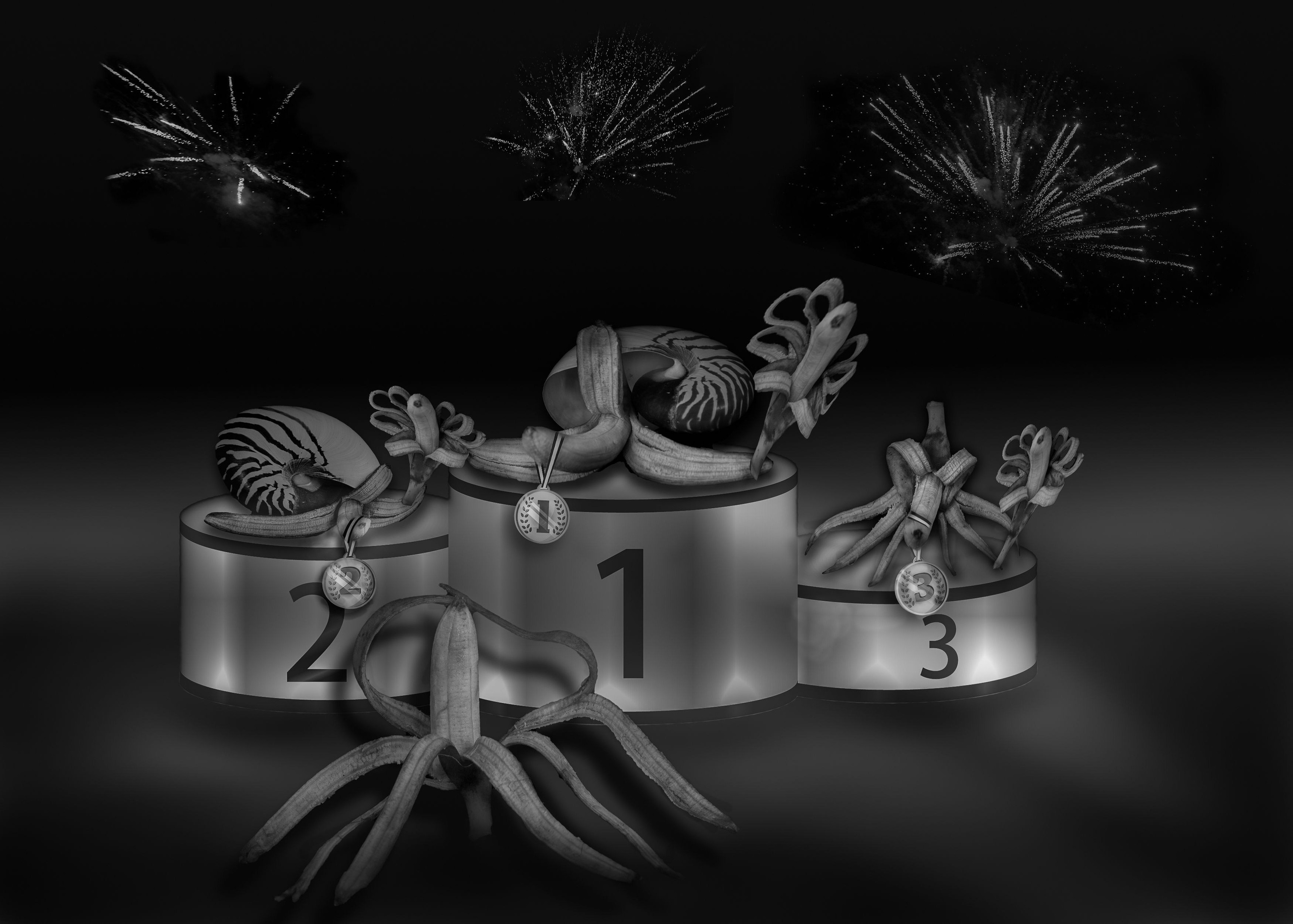 Концептуальная фотография. Медиапродюсер, фотограф в Минеральных Водах —Виктор Холодов