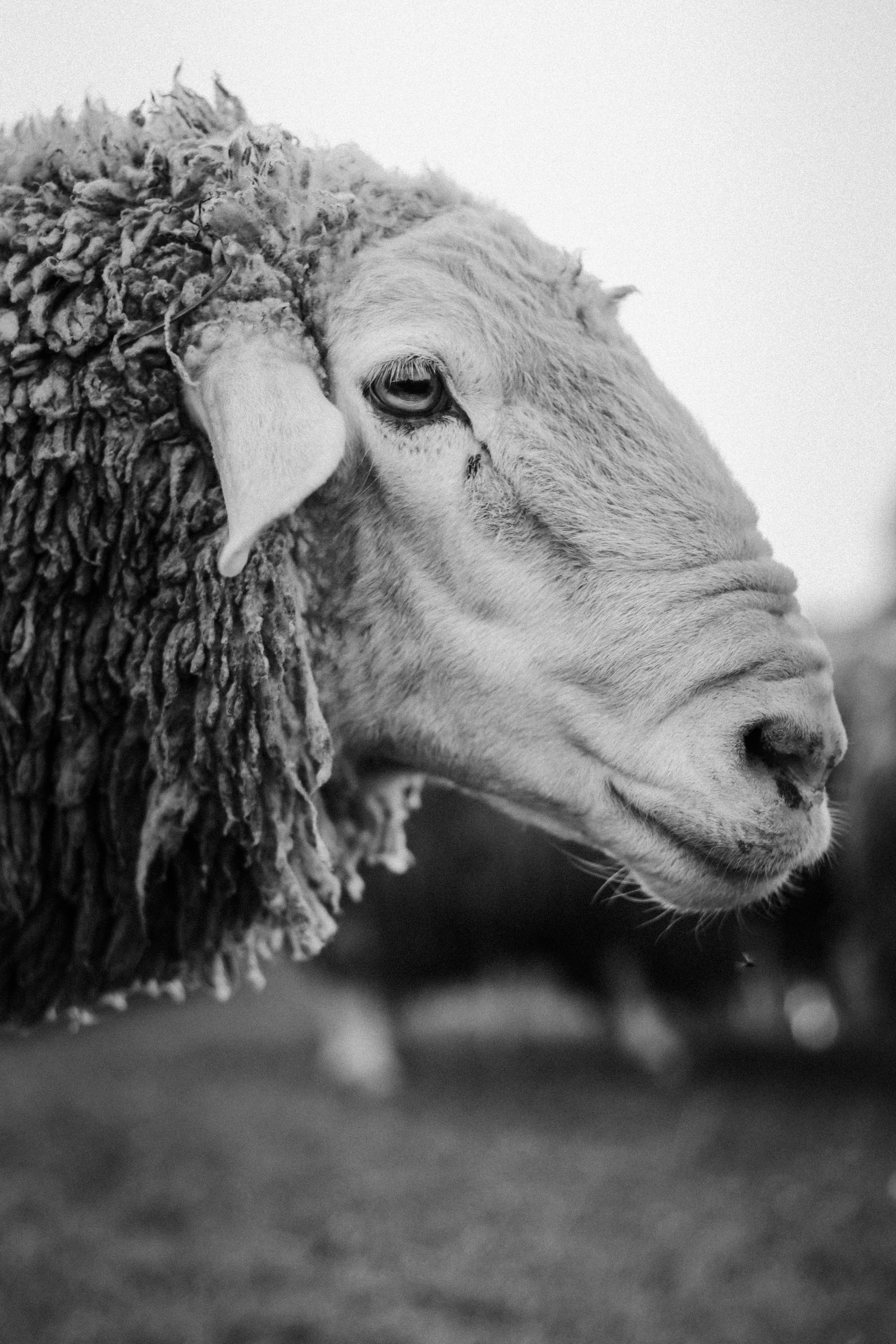 Виктория & Дмитрий. Семейный фотограф Беларуси Юлия Барейша
