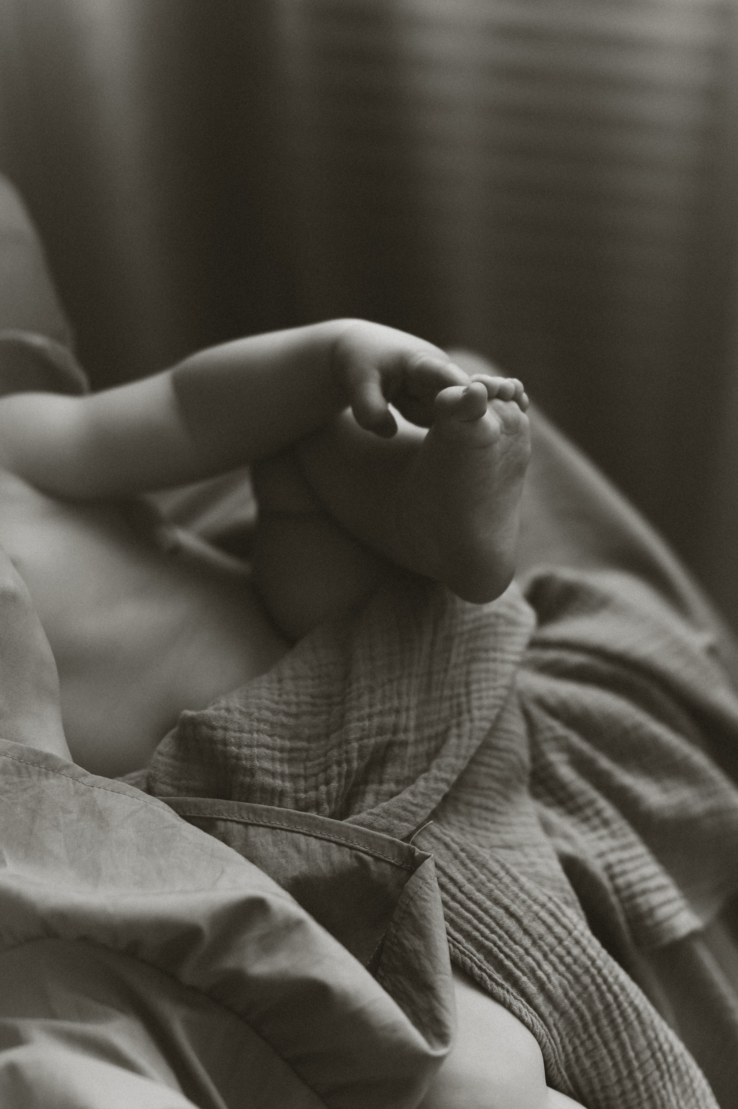 Маленькая София. Семейный фотограф в г. Ставрополь, Сорокина Мария