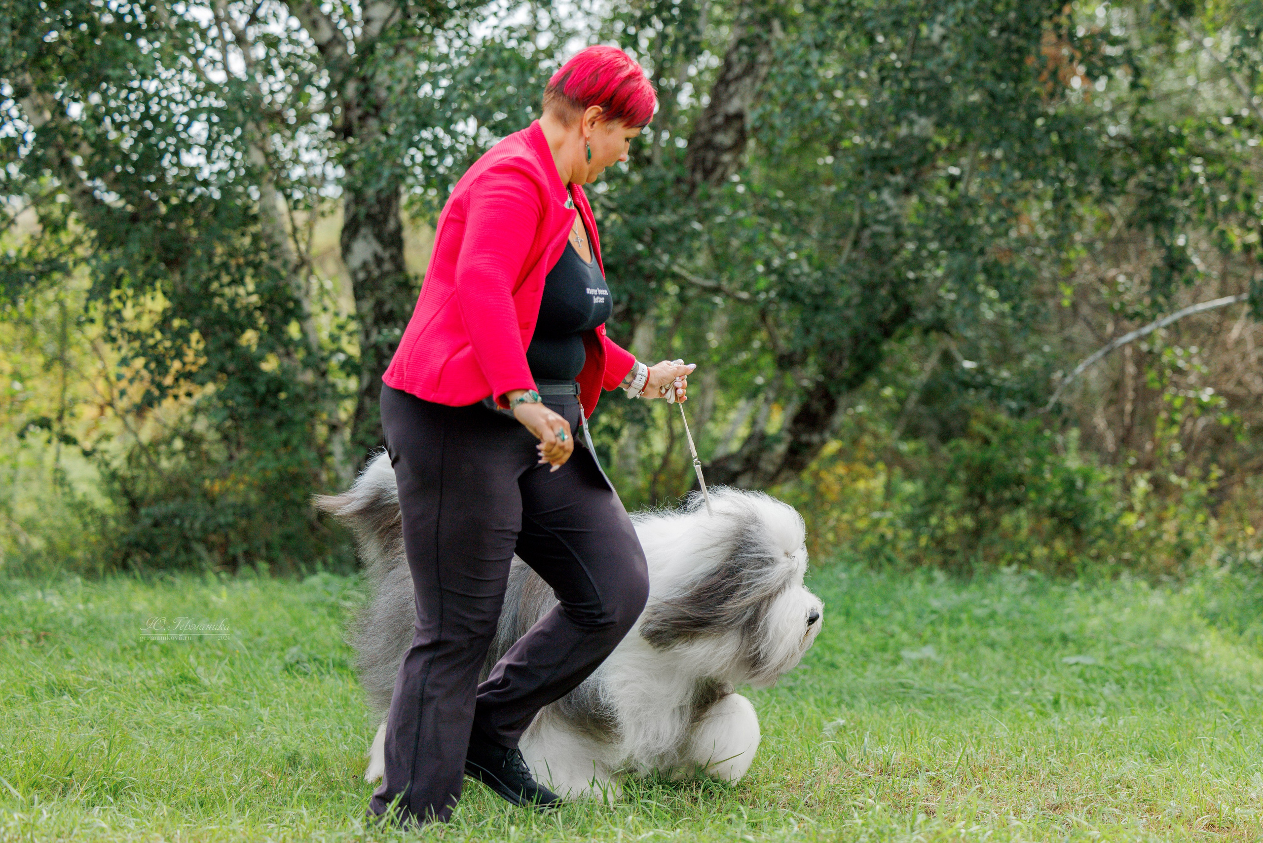 Астана 2хCACIB 17-18.08.2024. Фотограф-анималист Юлия Германика