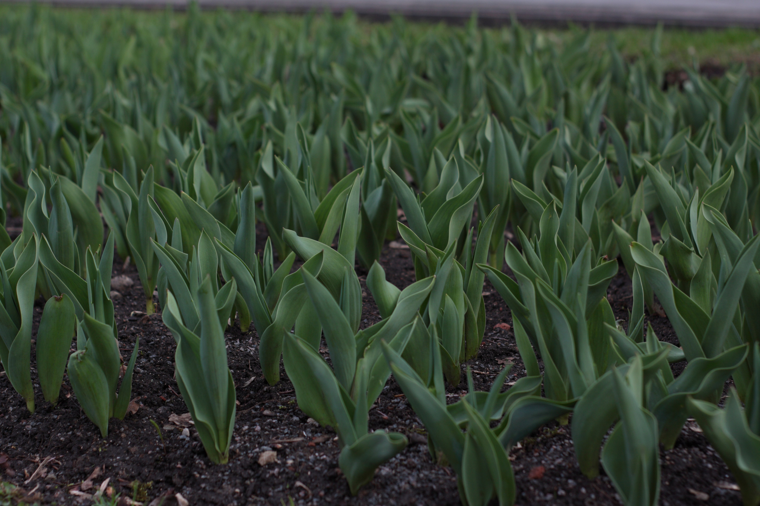 Старое природное, отбирала Katamount (Катерина Горохова). Главная