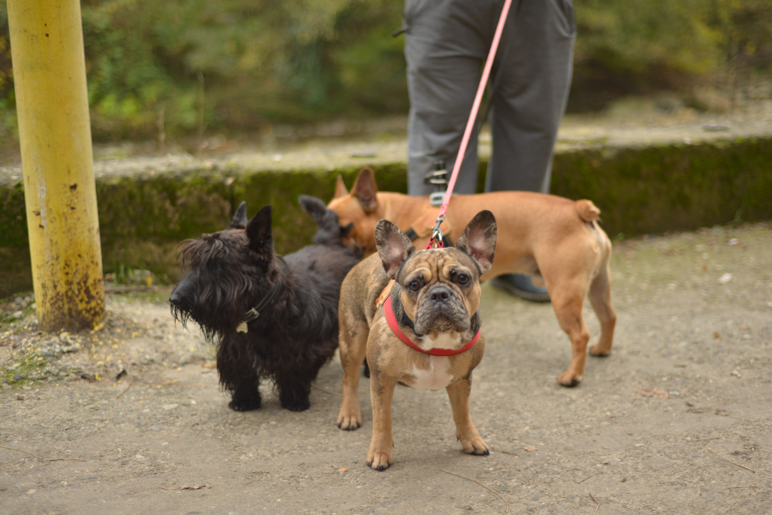 Животные. Фотограф • Елена Миронова