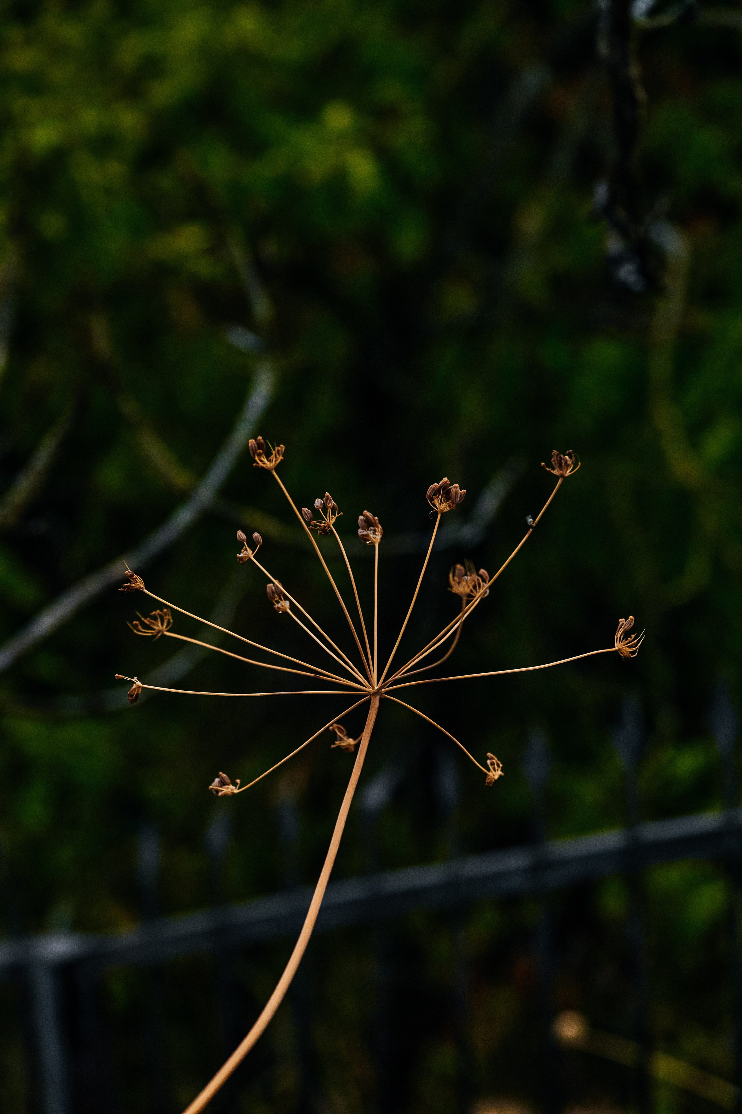 Nature. Оля Валиахметова — портретный и репортажный фотограф из Екатеринбурга