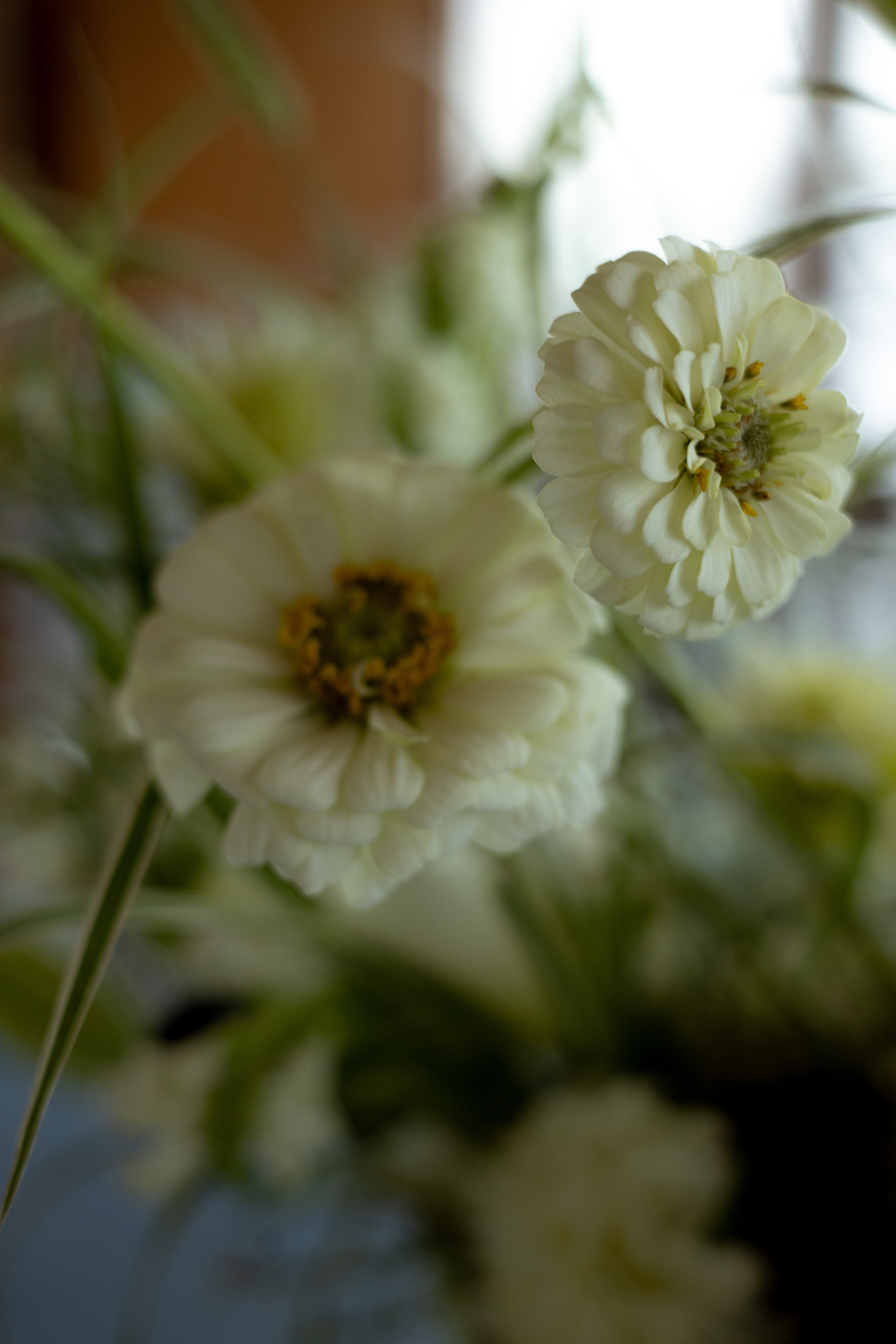 Мужской ДР. Теплоход «Императрица». Оформление свадеб, декор свадеб Вера Маркова, Москва