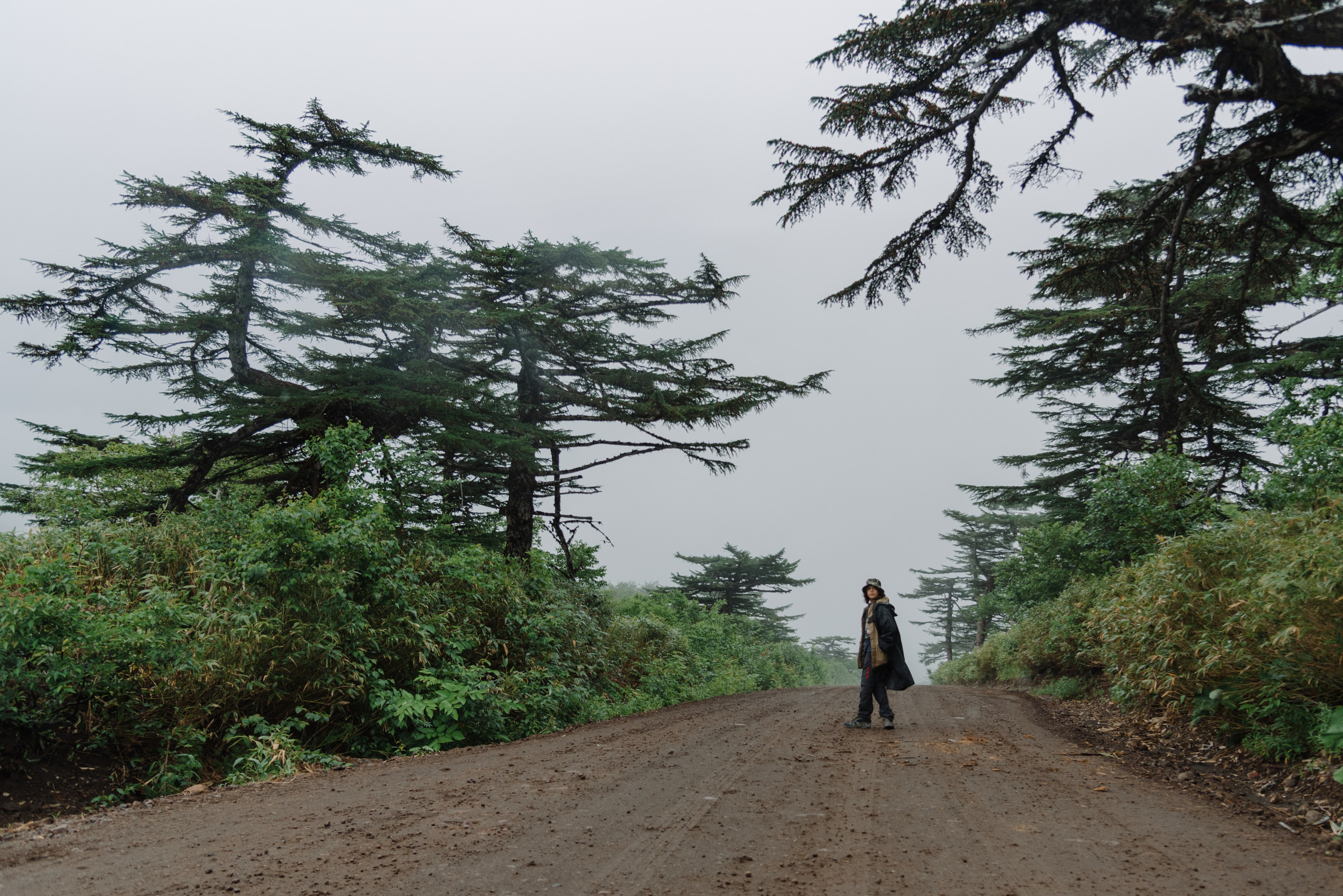 Сахалин и Курильские острова. Фотограф Алиса Калинина