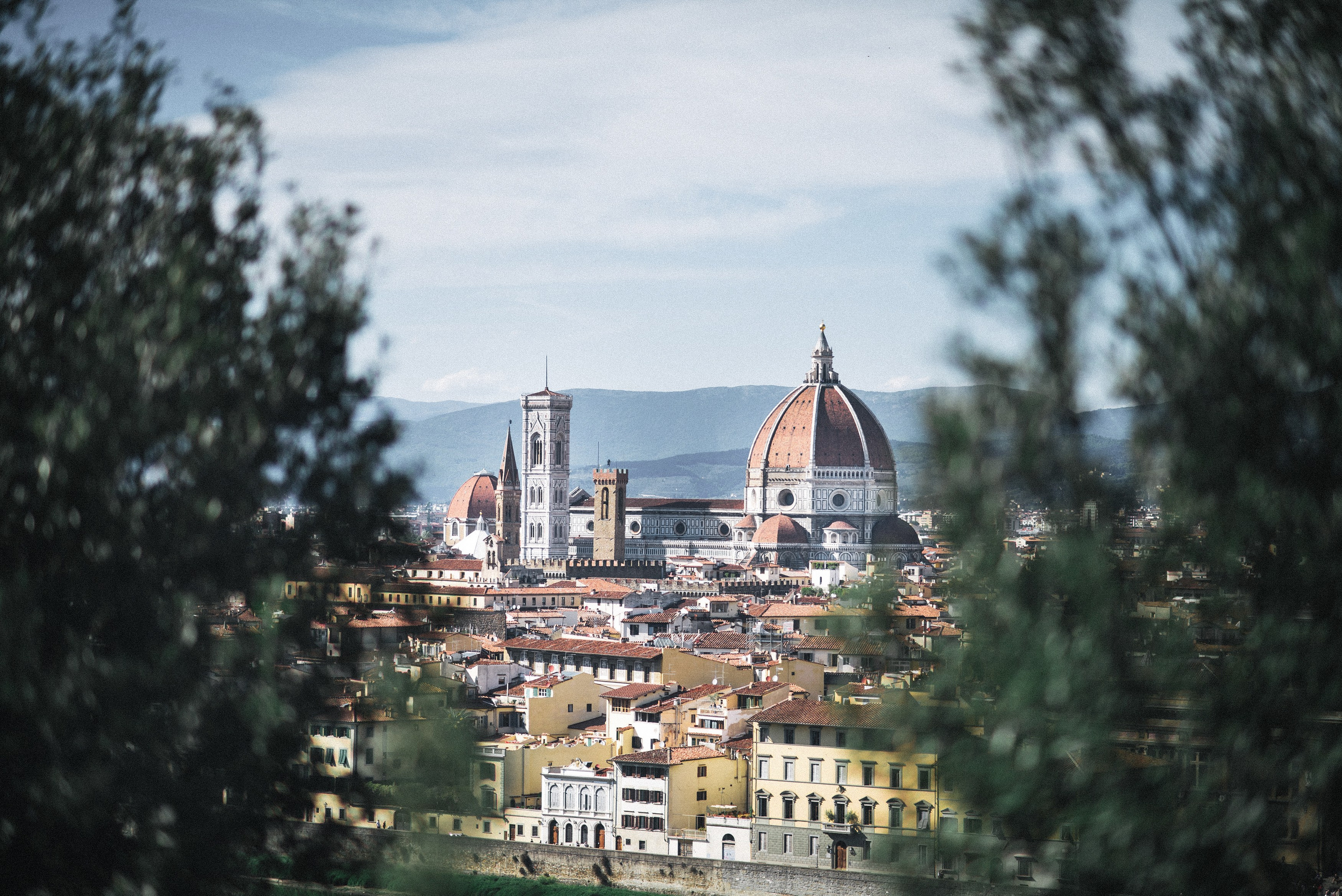 Свадебный фотограф Новосибирск