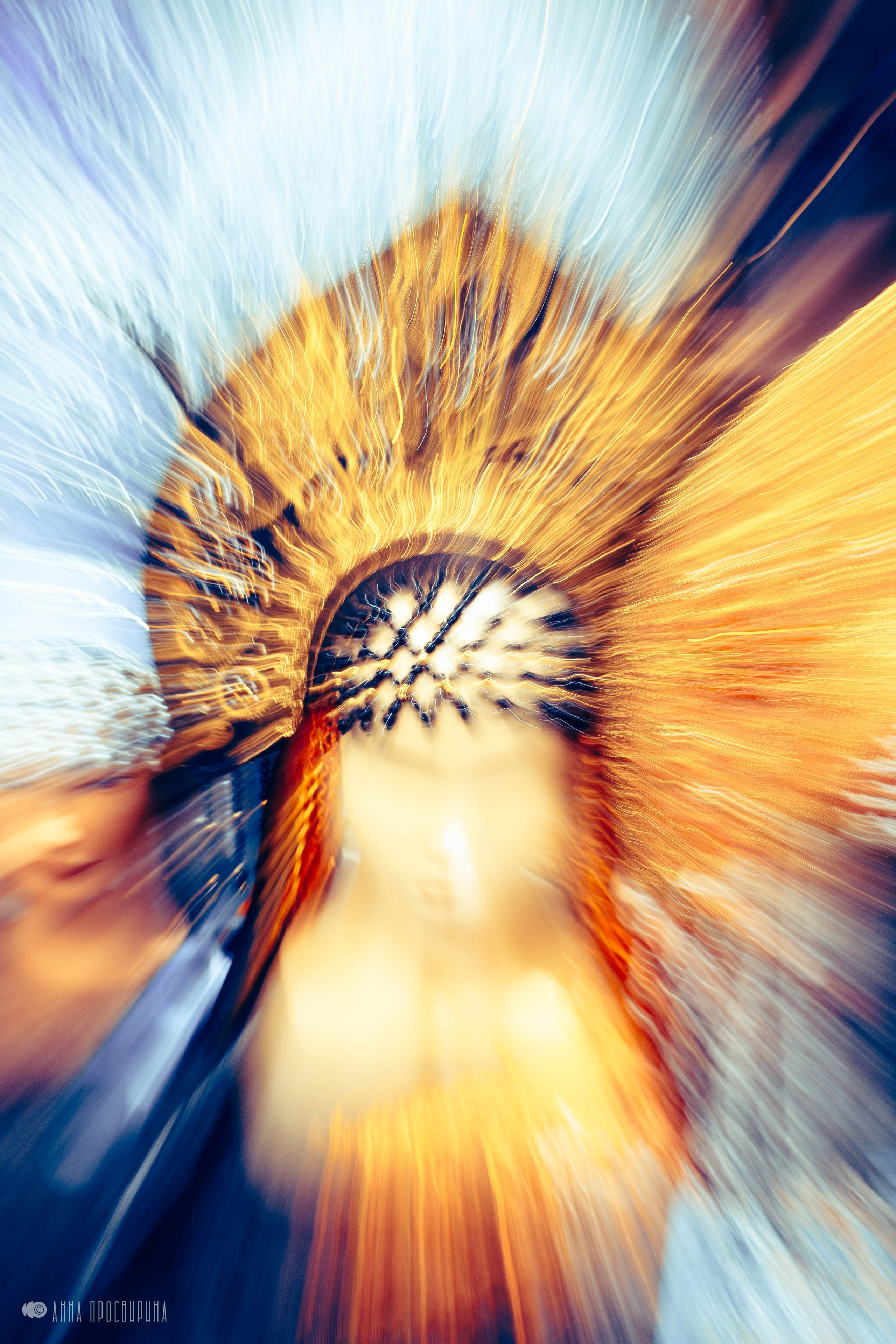 Ноябрьская сборная солянка. Ваш фотограф в Санкт-Петербурге Анна Просвирина