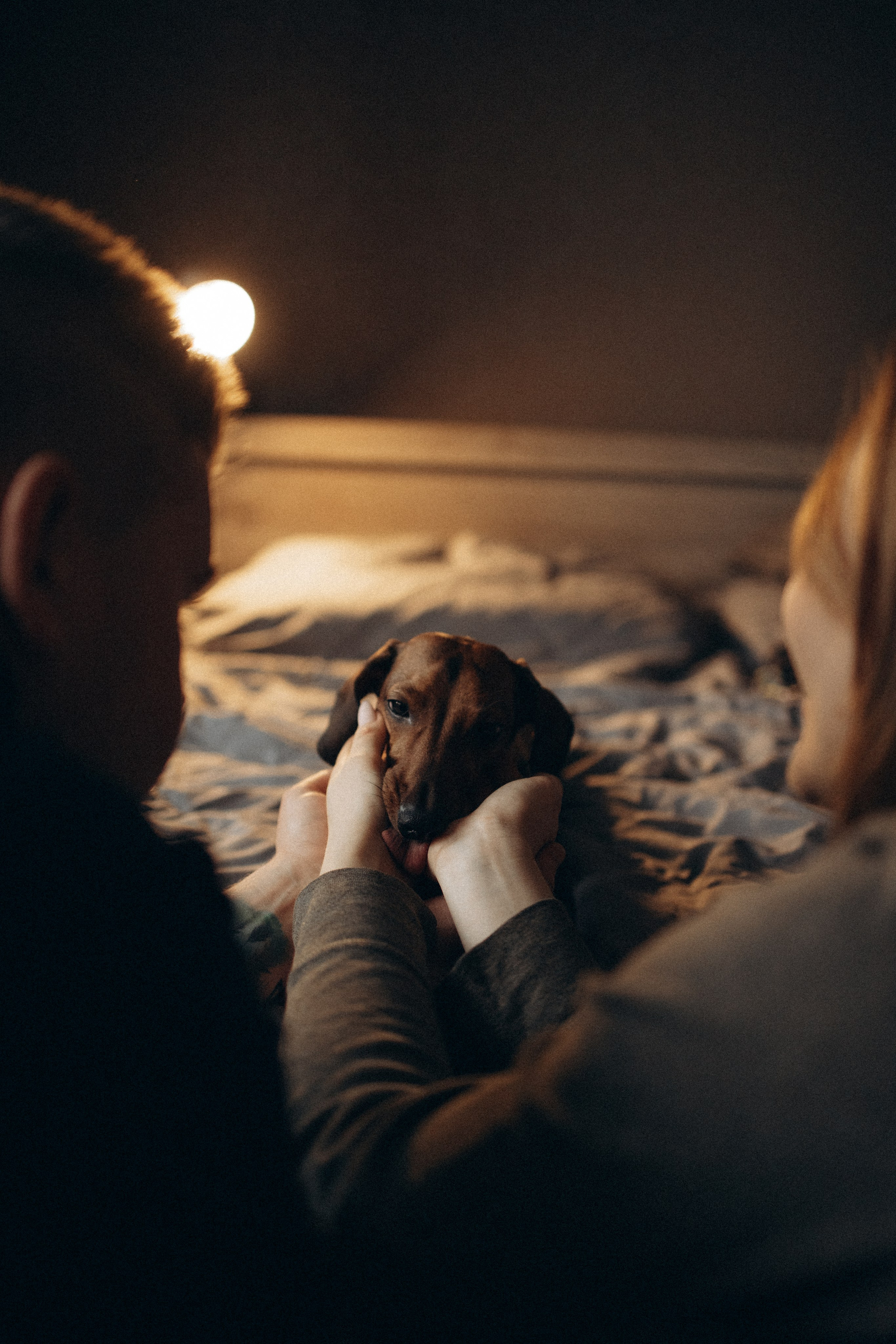 Маша и ее семья. Фотораф — анималист Мария Шистка