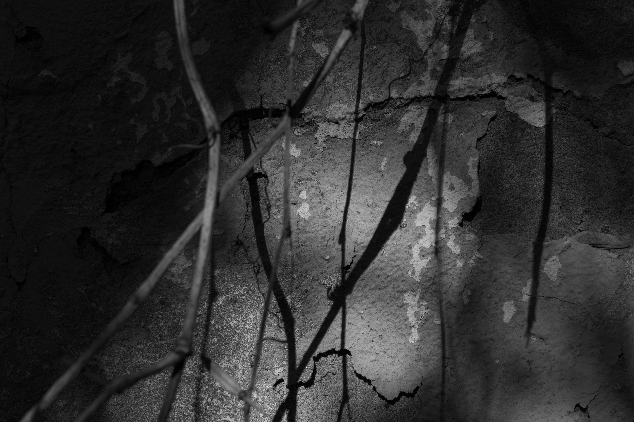 Art prints. Фотограф алина стерхова, алина стерхова фотограф, фотограф москва