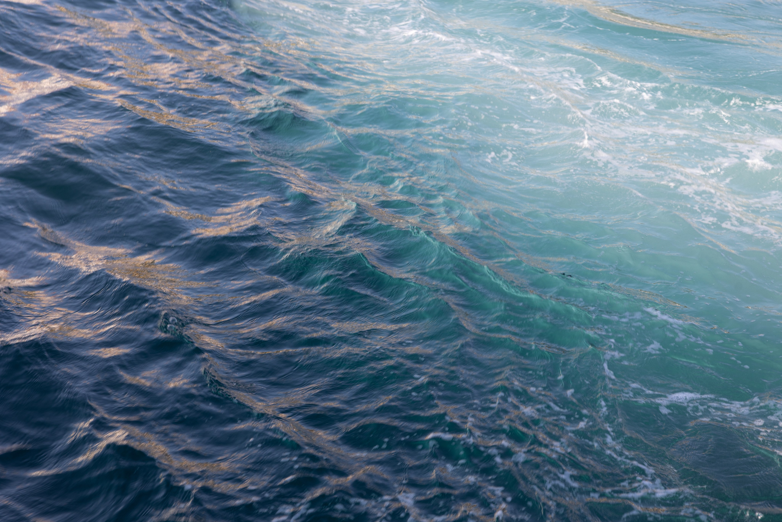 Art prints. Фотограф алина стерхова, алина стерхова фотограф, фотограф москва