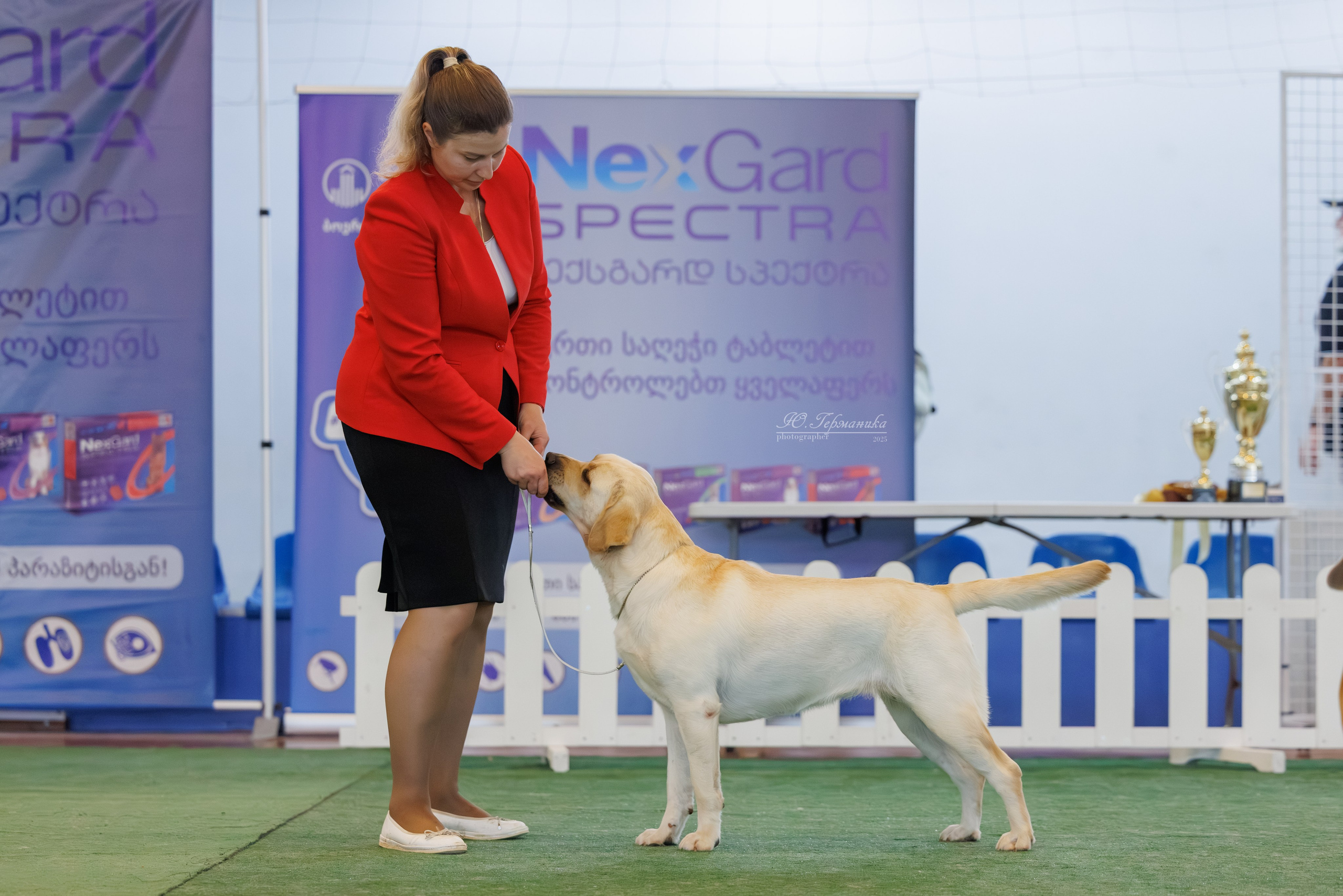 Батуми 3хCACIB 27-29.06.2025. Фотограф-анималист Юлия Германика