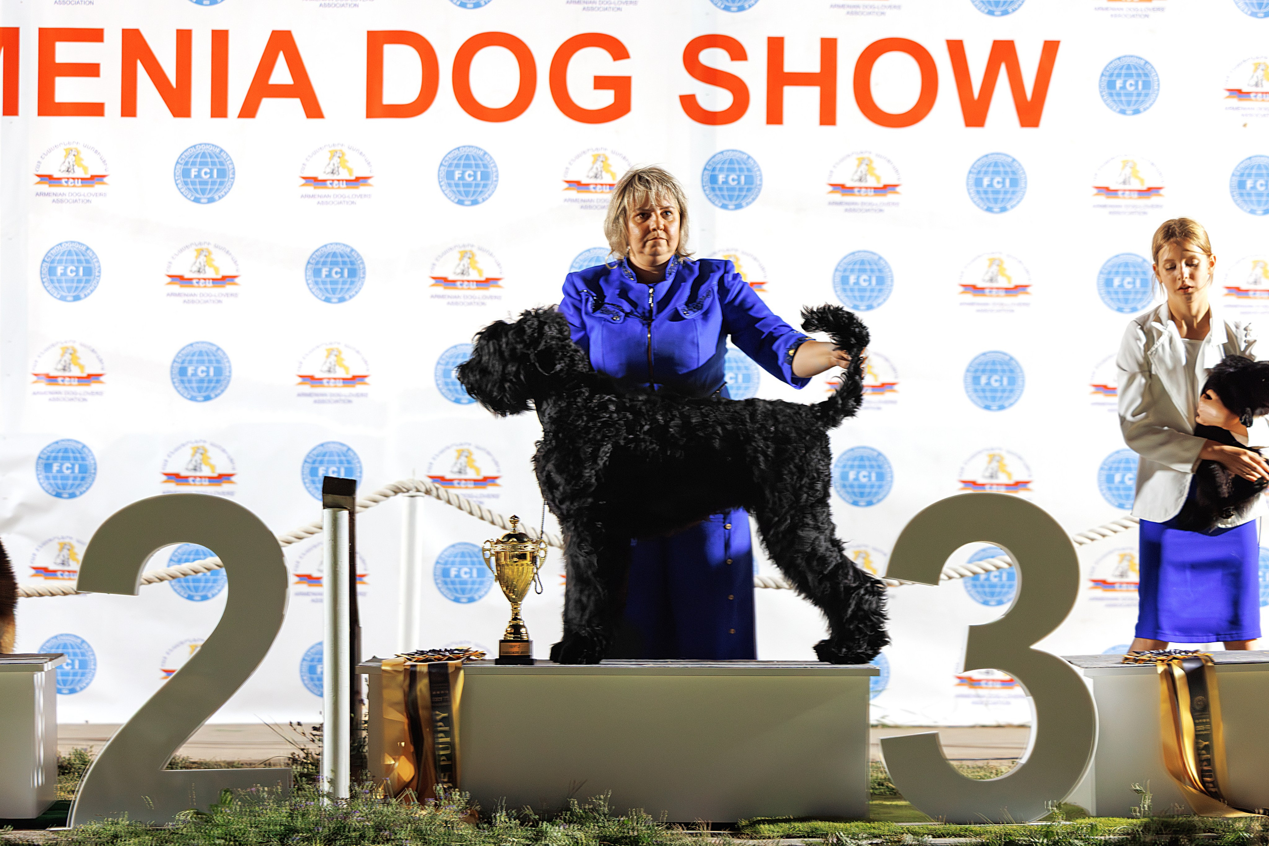 Ереван 3хCACIB 23-25.06.2025. Фотограф-анималист Юлия Германика