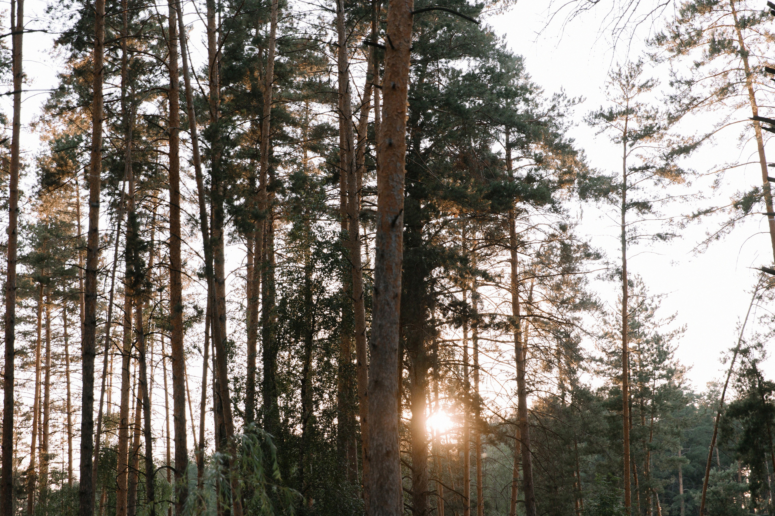 Красивая дата. Фотограф Елена Краснопевцева
